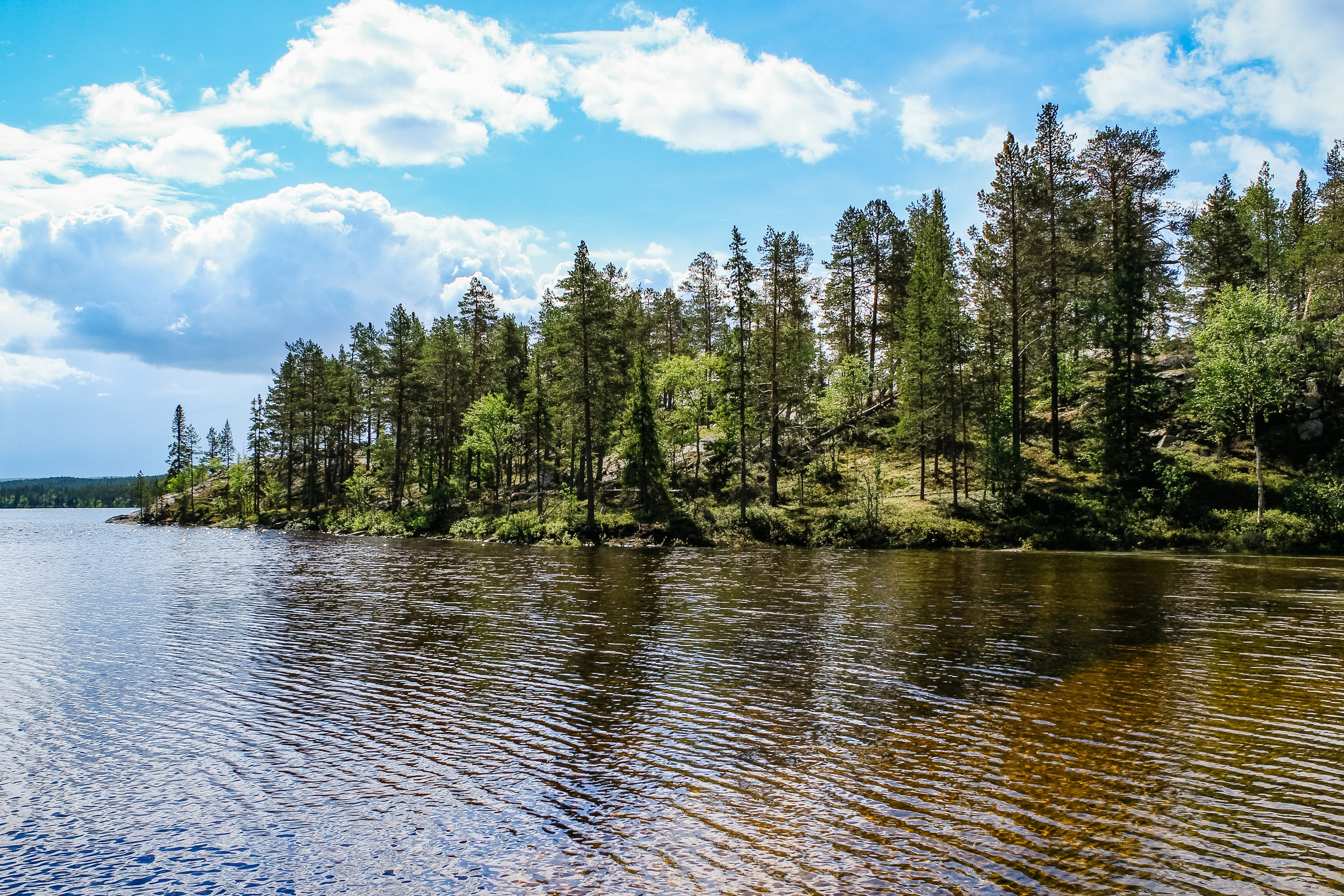 Лапландский заповедник. Репортажный фотограф в Крыму Ксения Гасица