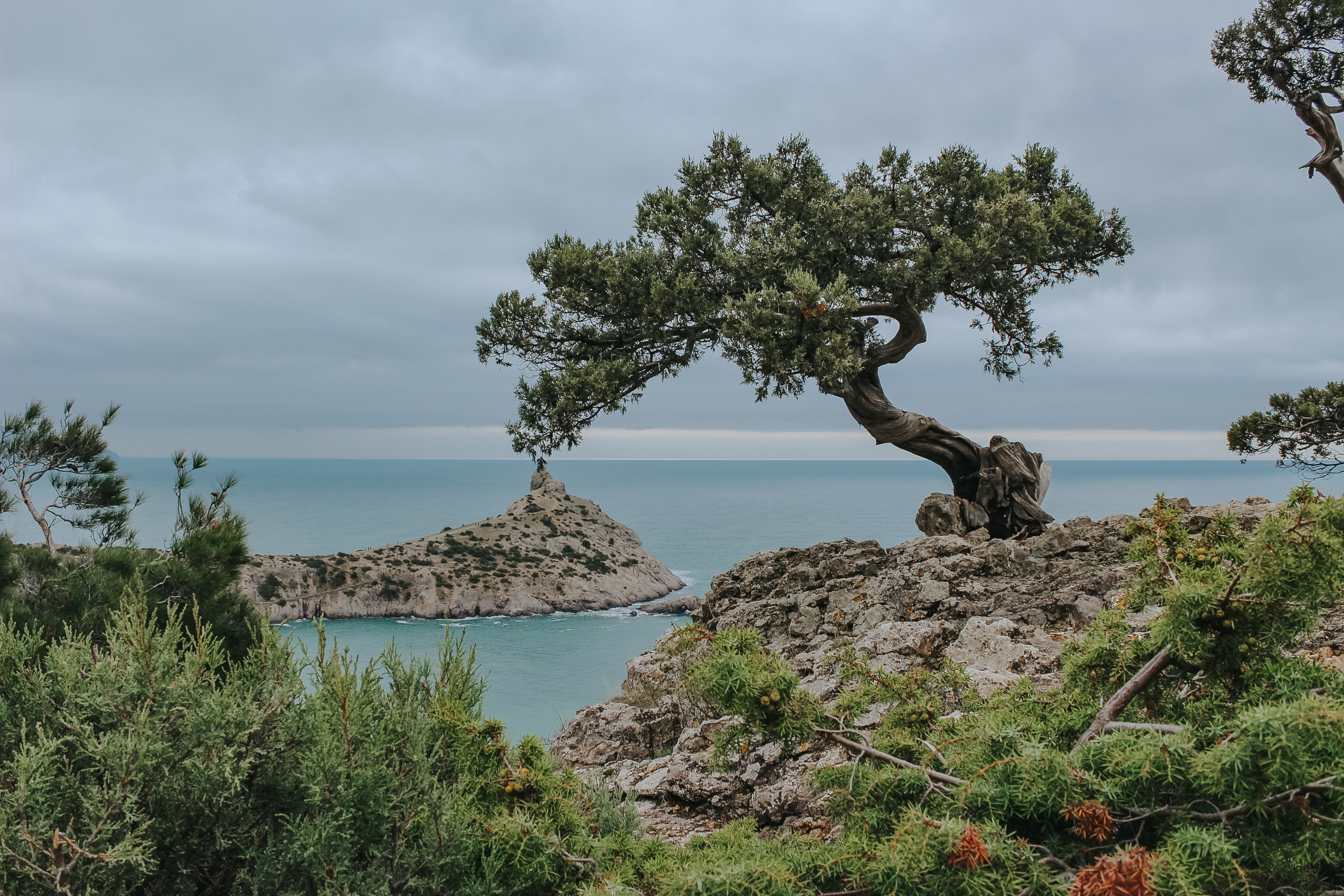 Ботанический заказник «Новый Свет». Репортажный фотограф в Крыму Ксения Гасица