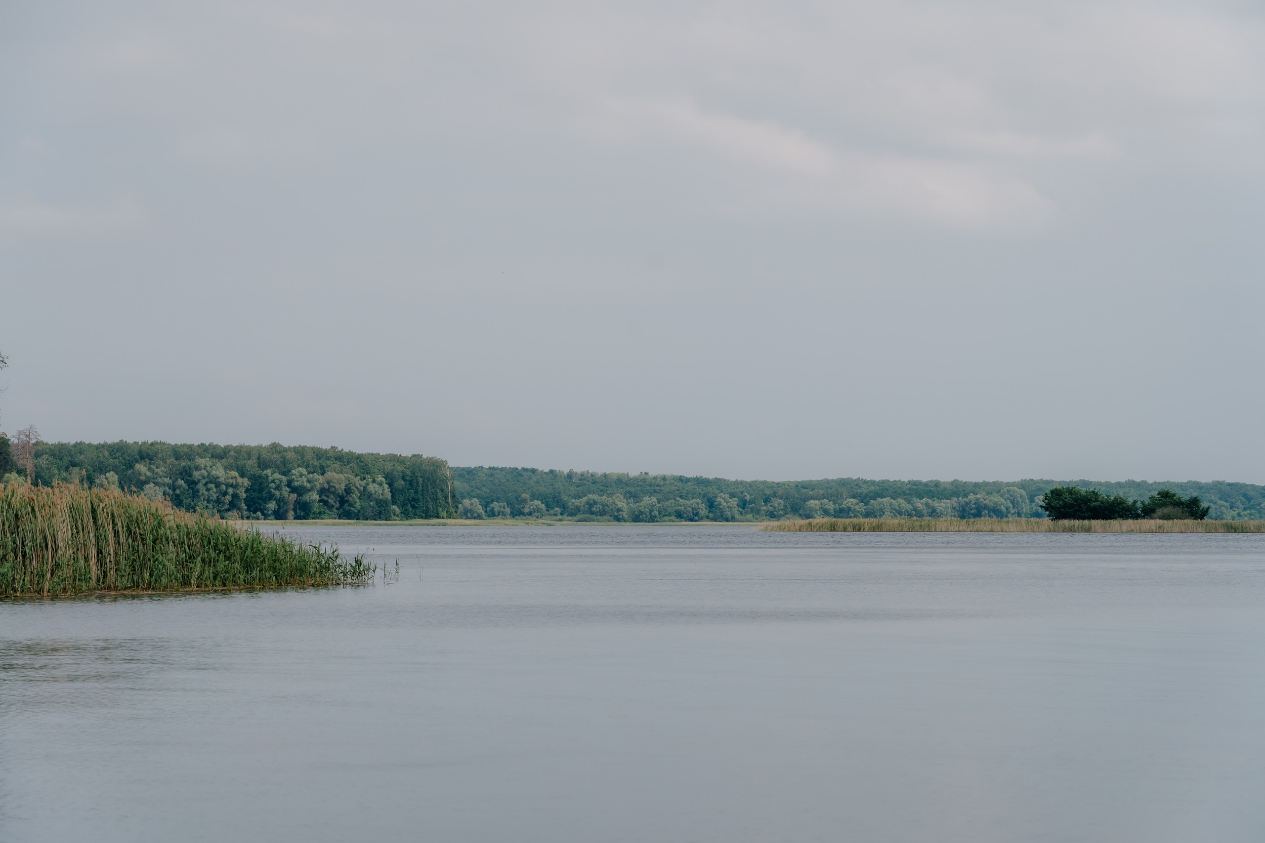 Волжско-камский заповедник. Репортажный фотограф в Крыму Ксения Гасица