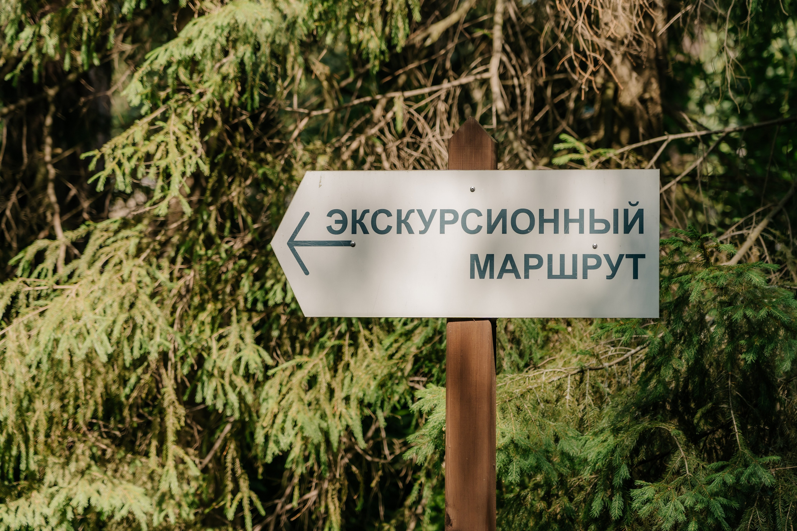 Волжско-камский заповедник. Репортажный фотограф в Крыму Ксения Гасица