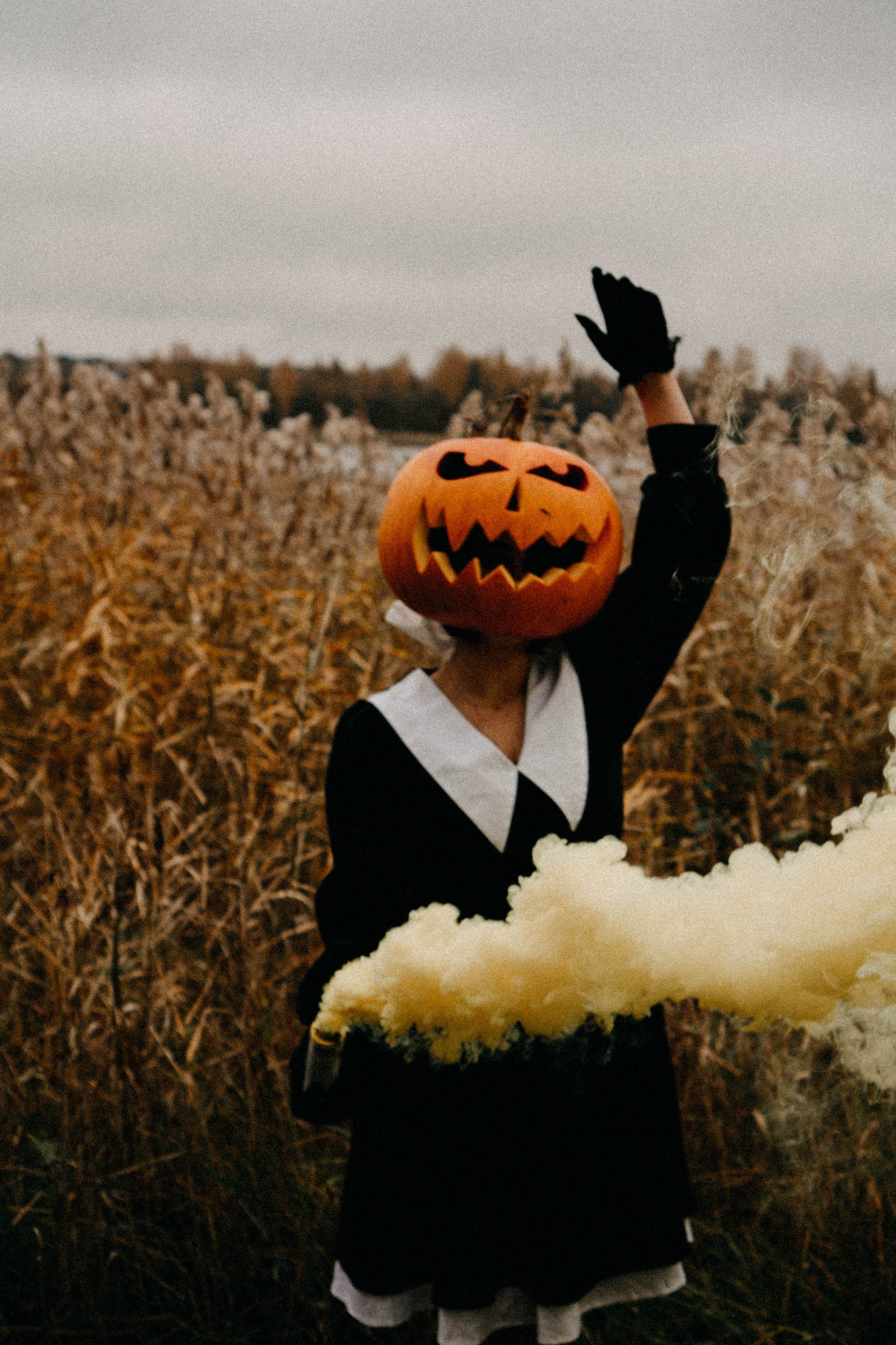 Осеняя. Профессиональный фотограф, Санкт-Петербург — Виктория Богомолова
