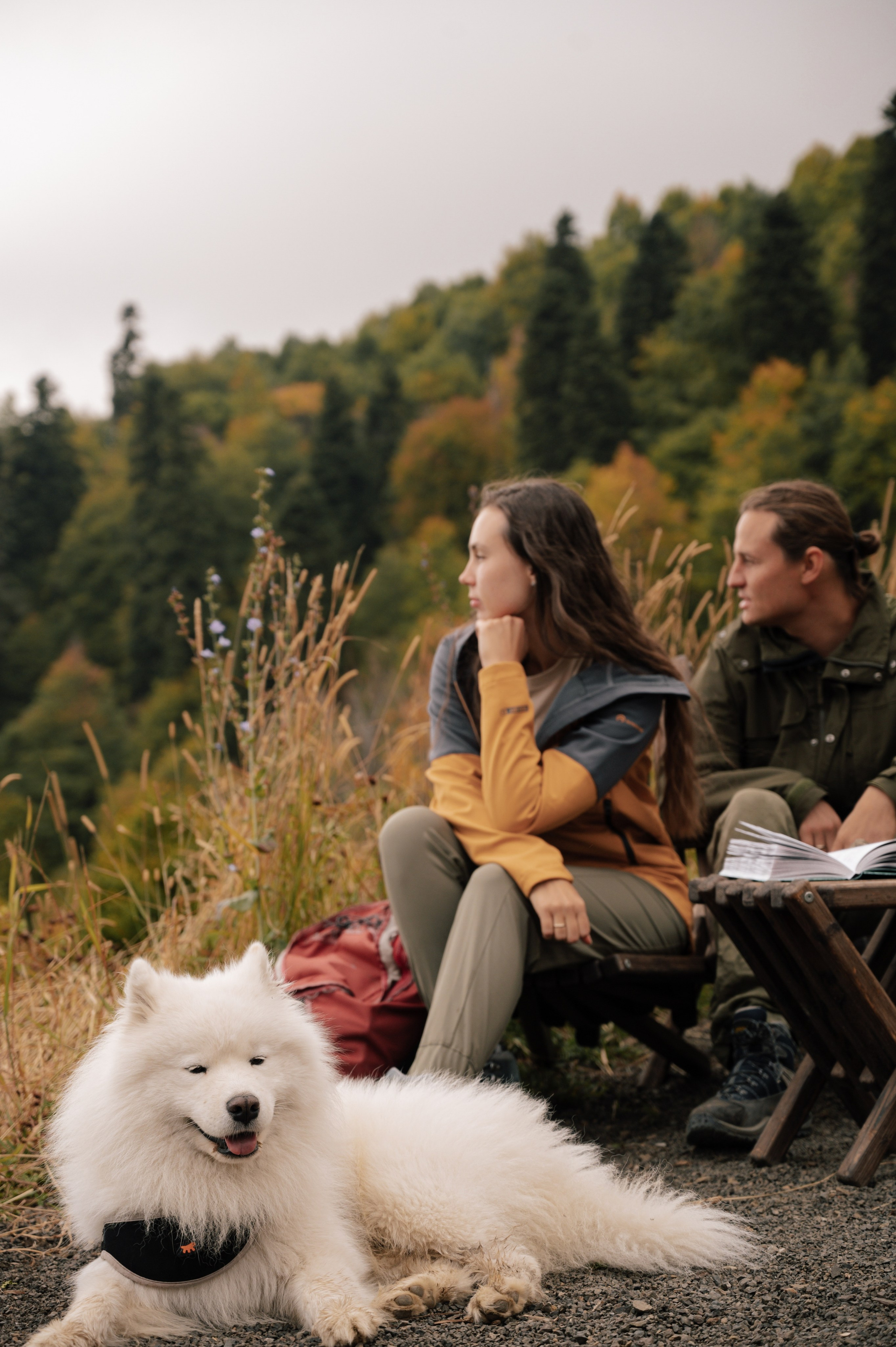 Выше гор только любовь. Свадебный и семейный фотограф Вероника Холод