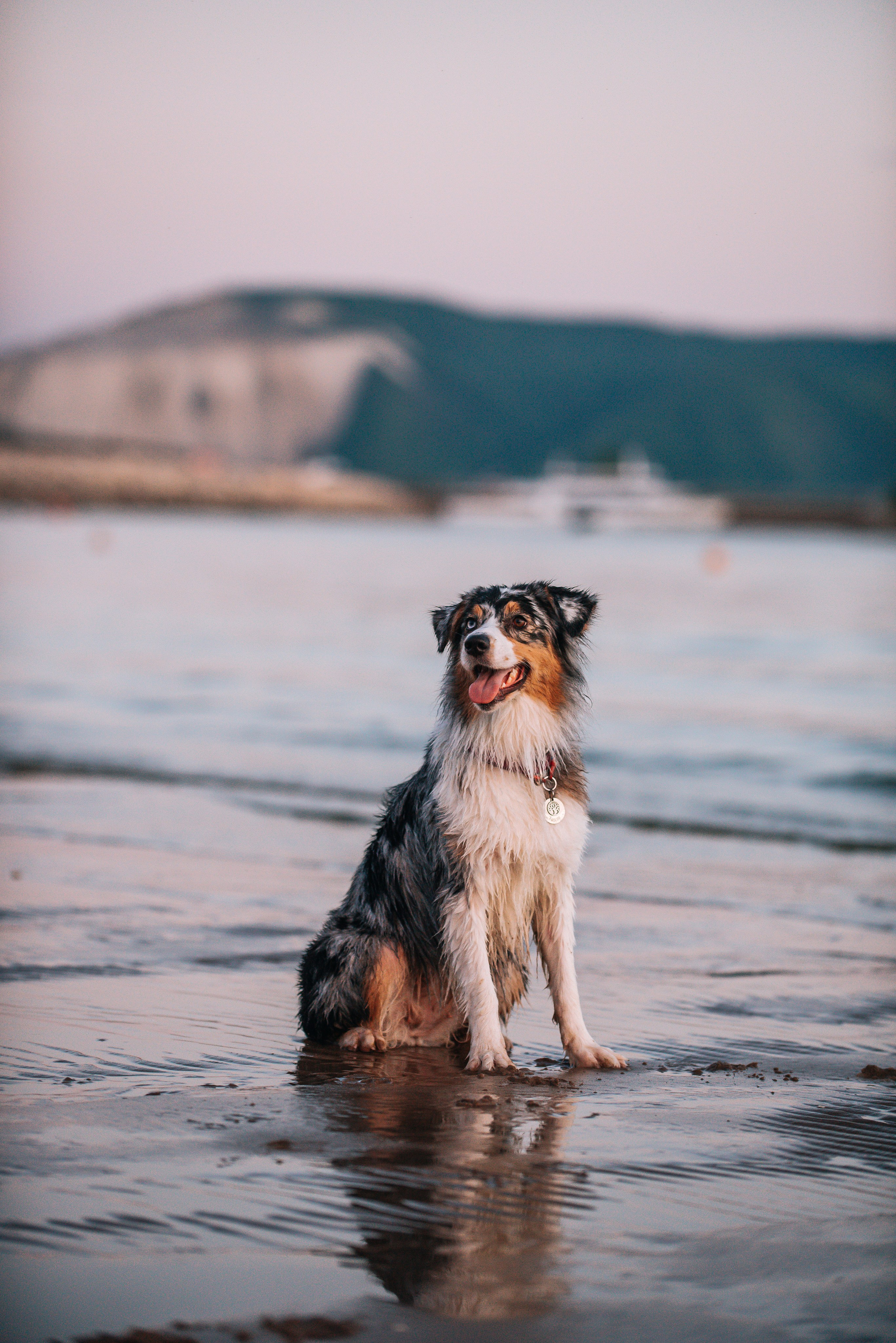 No Bad Days. Главная