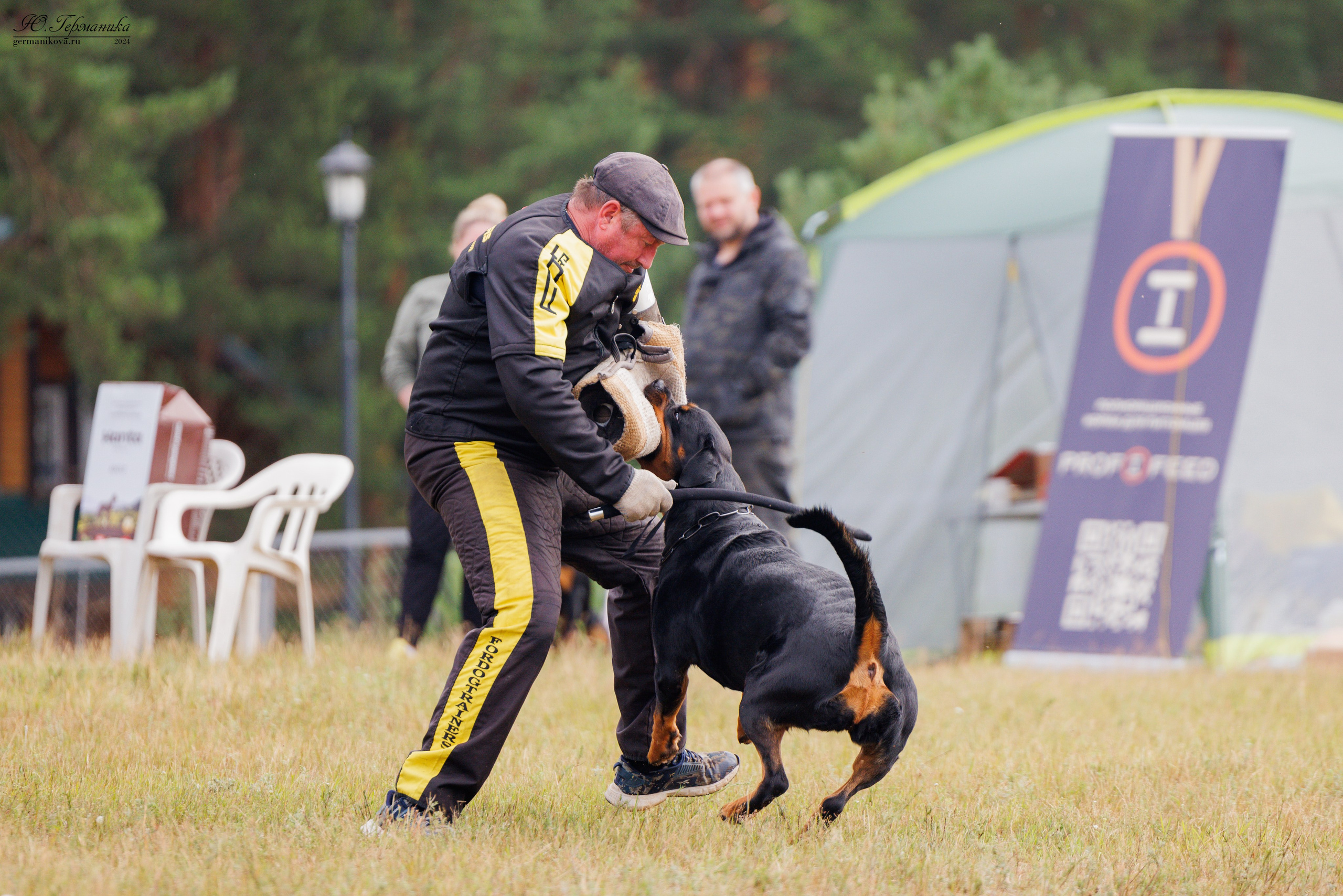 ПК и КЧК ротвейлеры Тверь 6-7.07.2024. Фотограф-анималист Юлия Германика