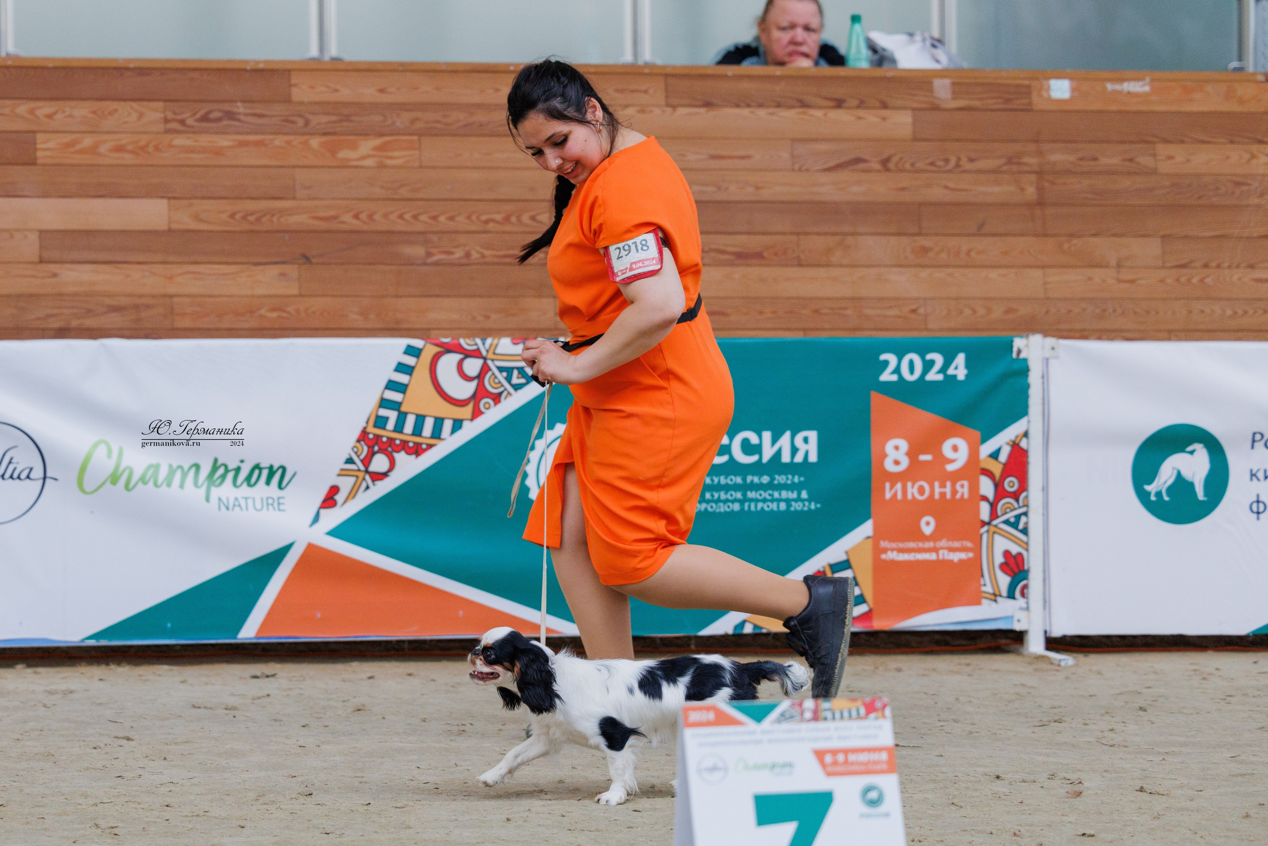 РОССИЯ 8-9.06.2024. Фотограф-анималист Юлия Германика