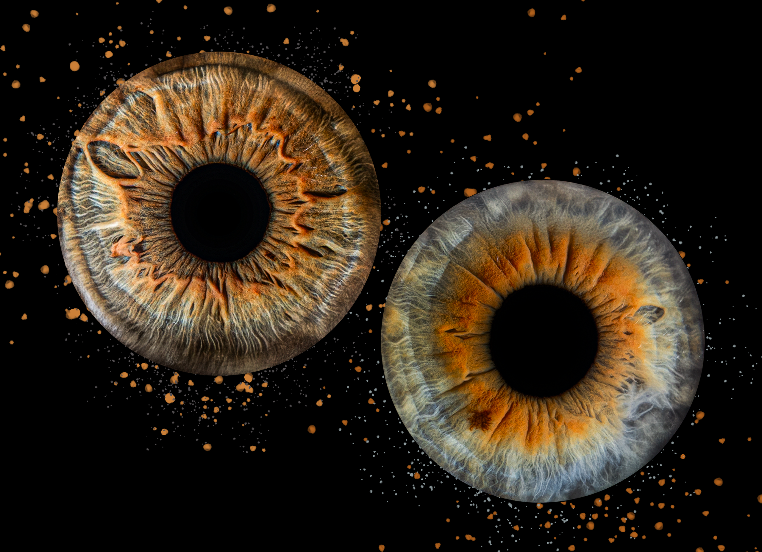 Эффекты. Макро Фото радужки глаза в Зеленоградске