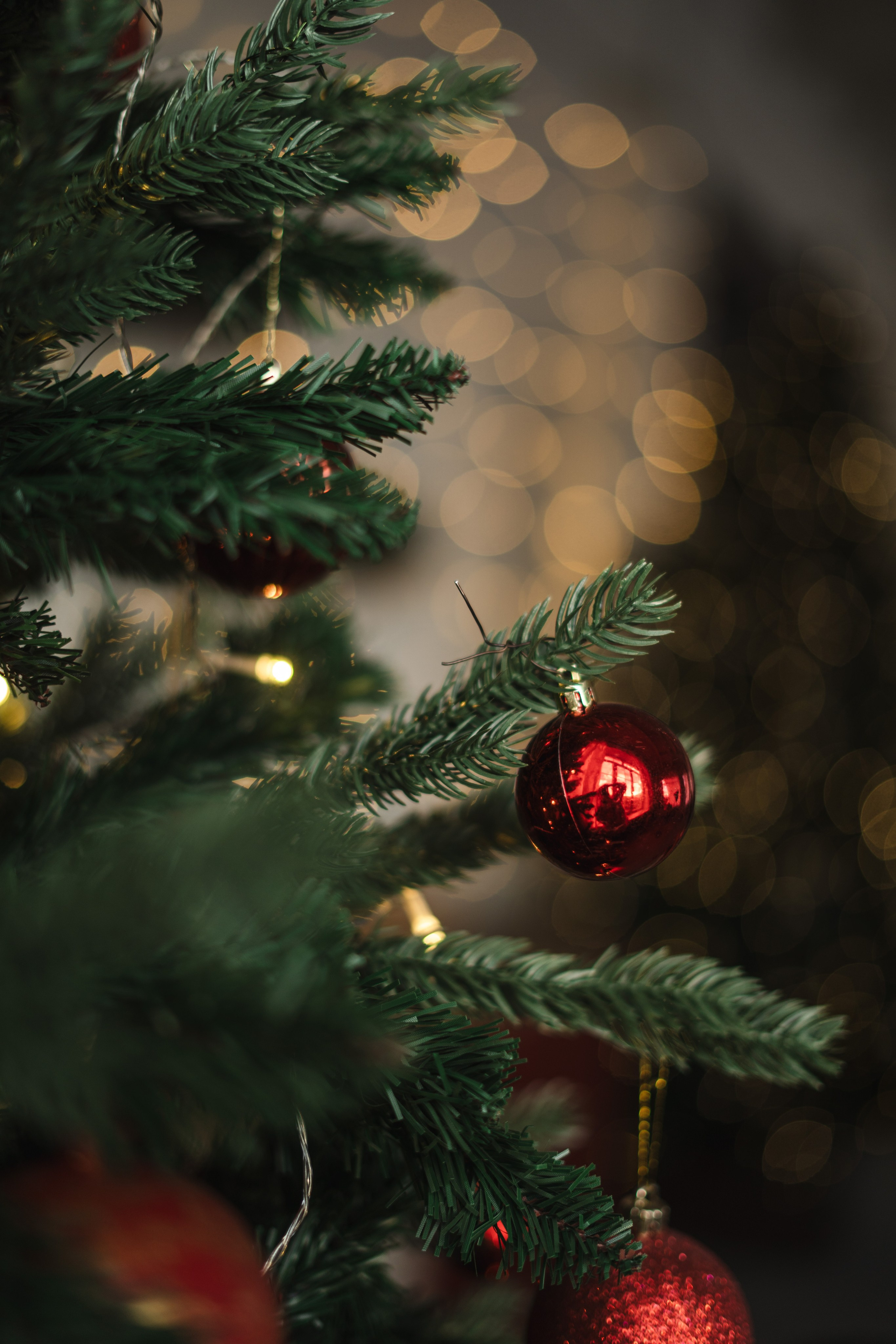 Фотостудия "Импульс" Саратов новогодняя фотосессия