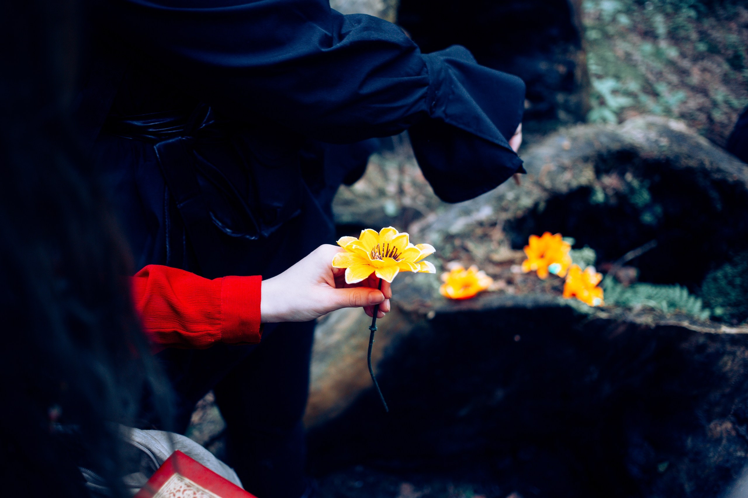 Запретный лес. Репортажный фотограф Анастасия Головко