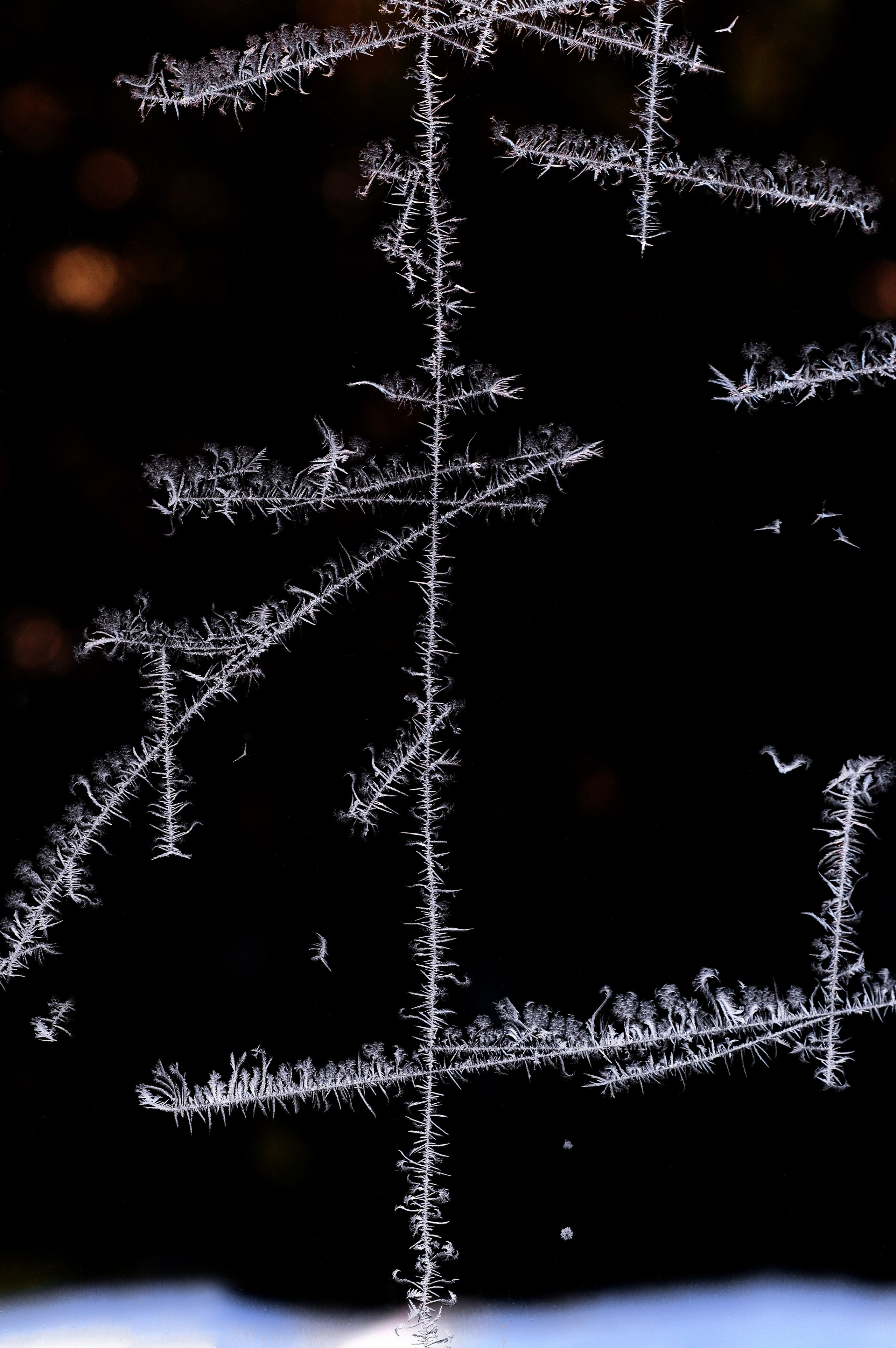 5. Вадим Шейдин