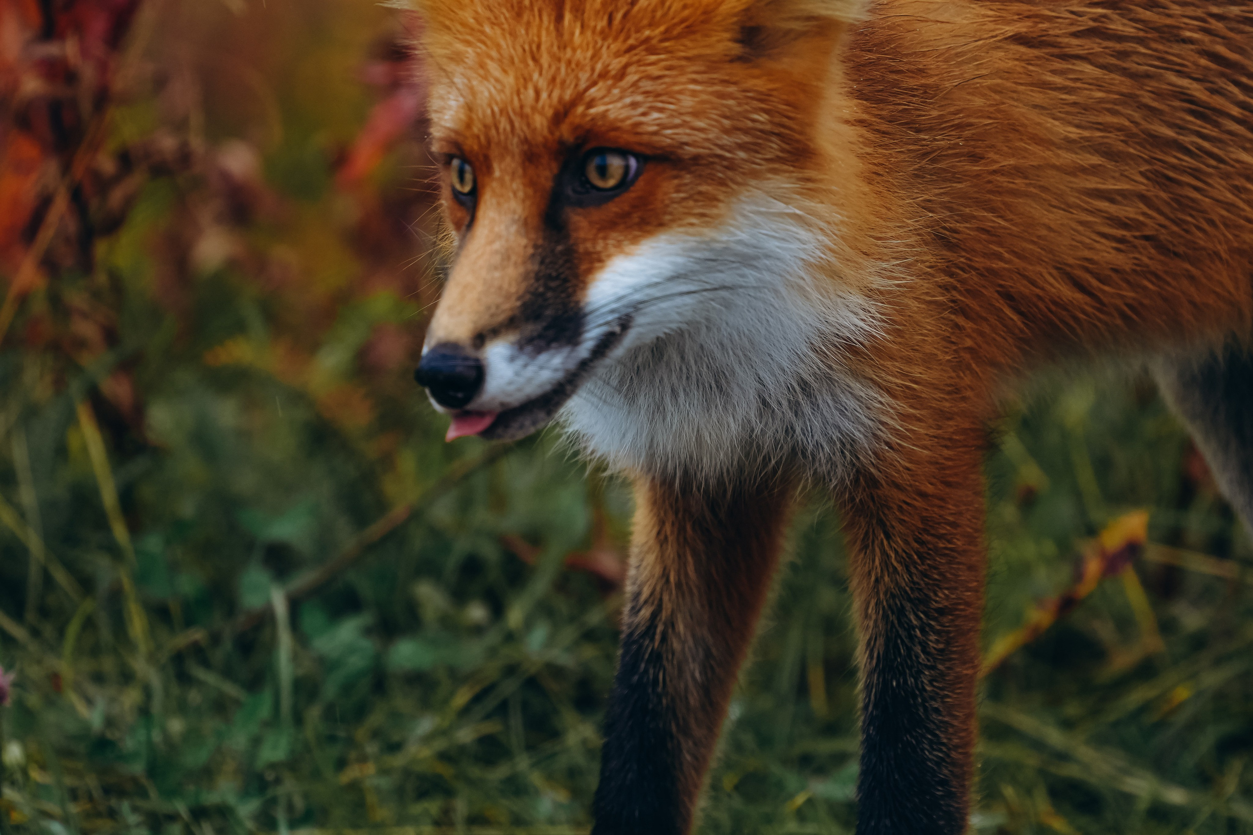 СЕВЕР. Event фотограф Степанова Александра