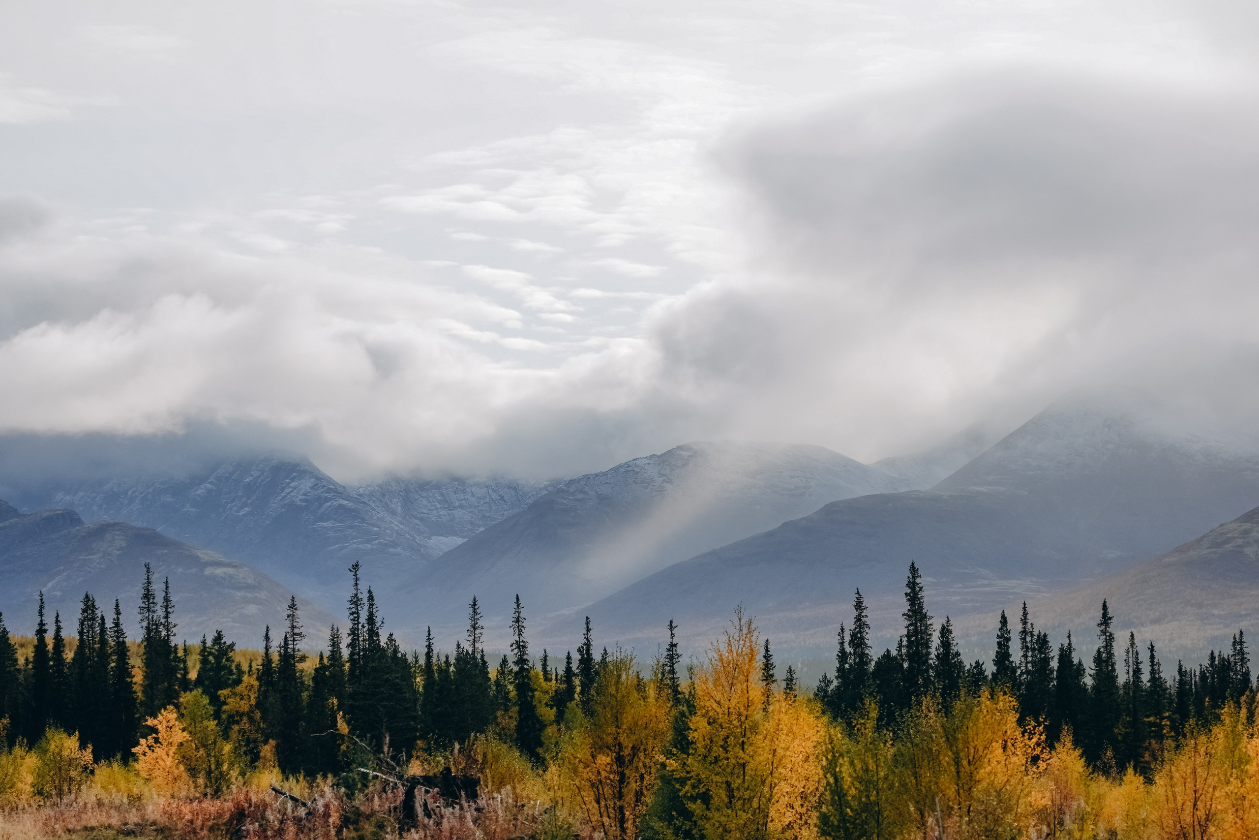 СЕВЕР. Event фотограф Степанова Александра