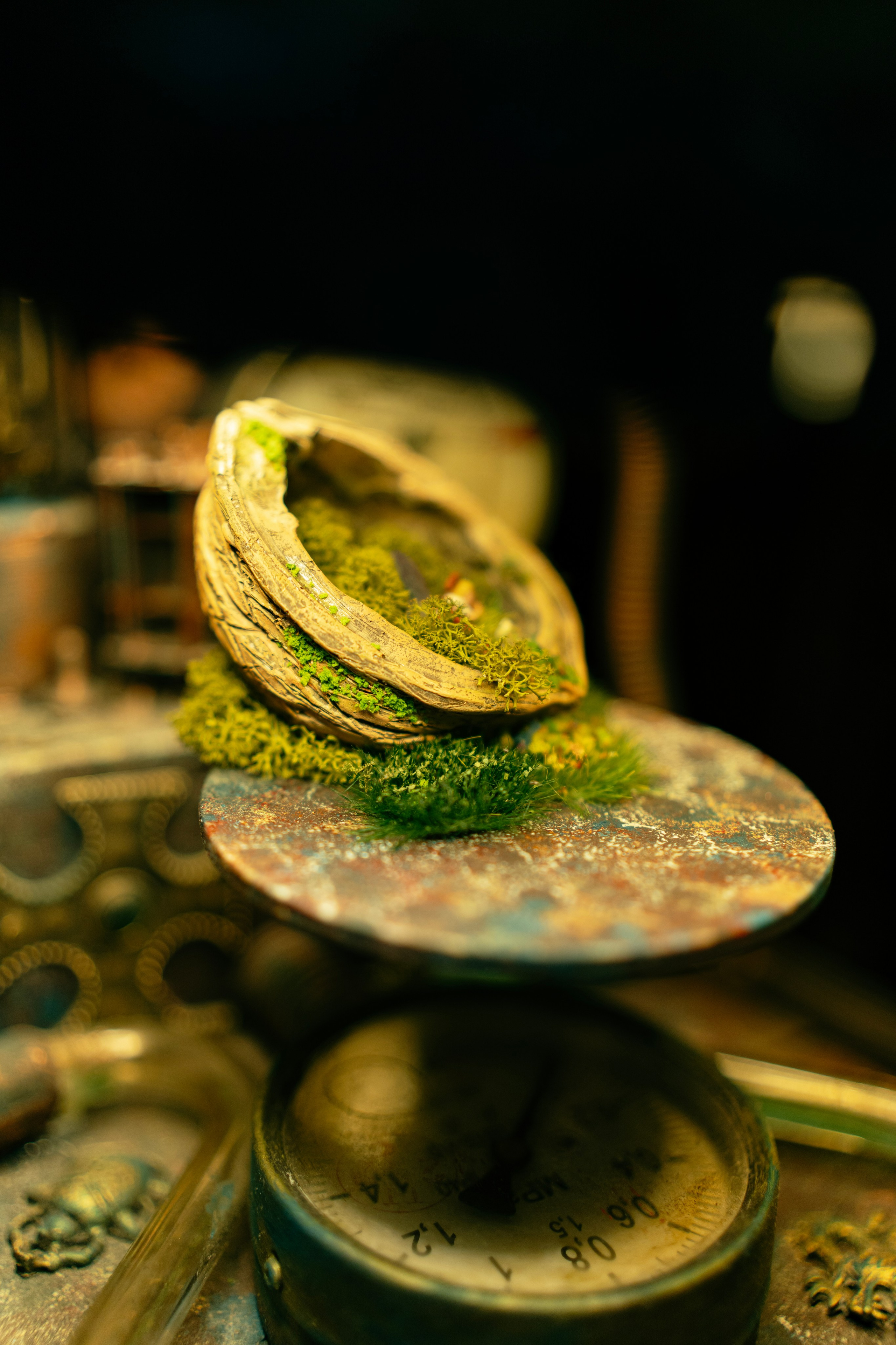 Небылица. Баев Дмитрий — фотограф из СПБ