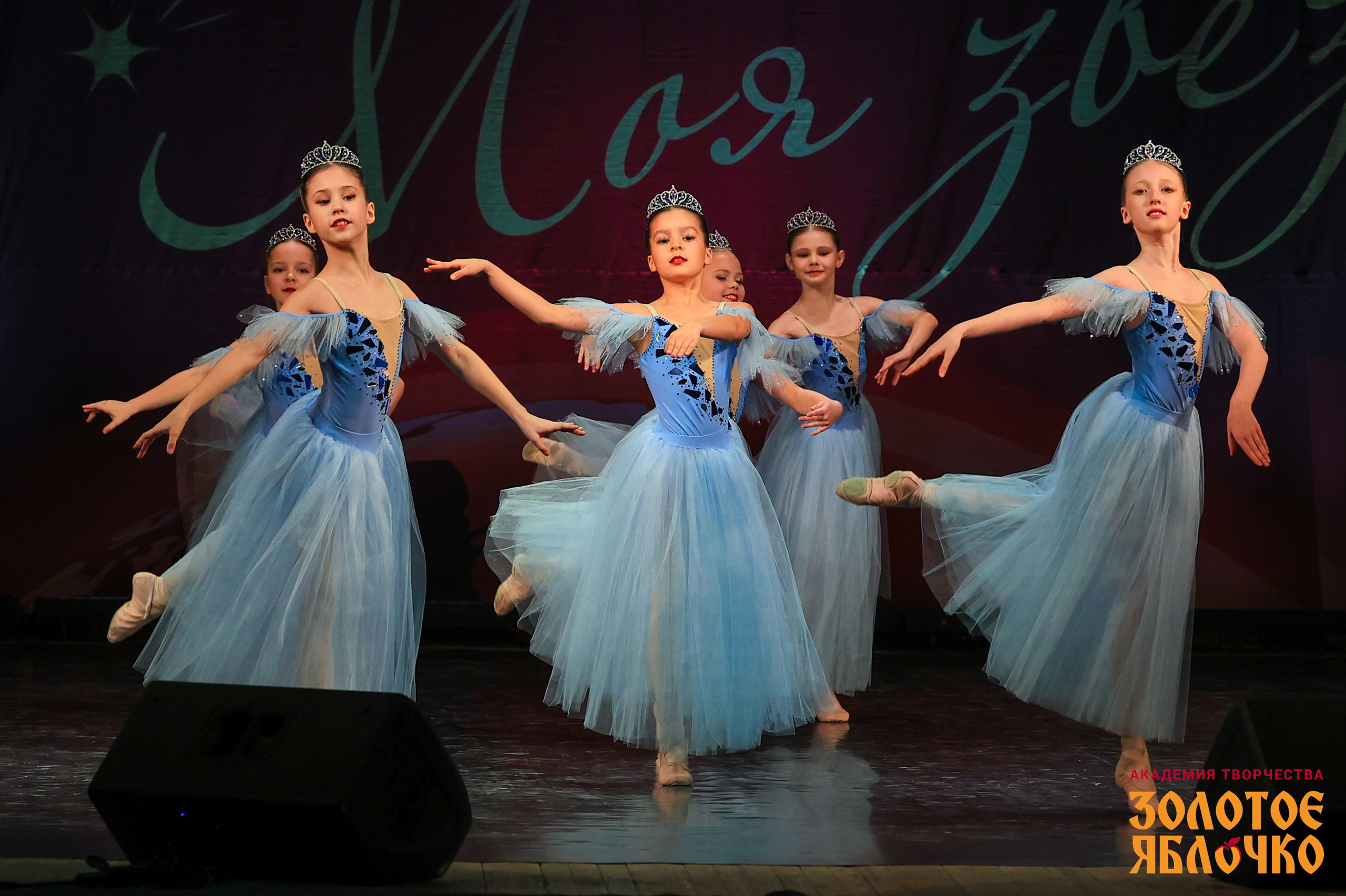 7 февраля, г. Петрозаводск. Золотое яблочко