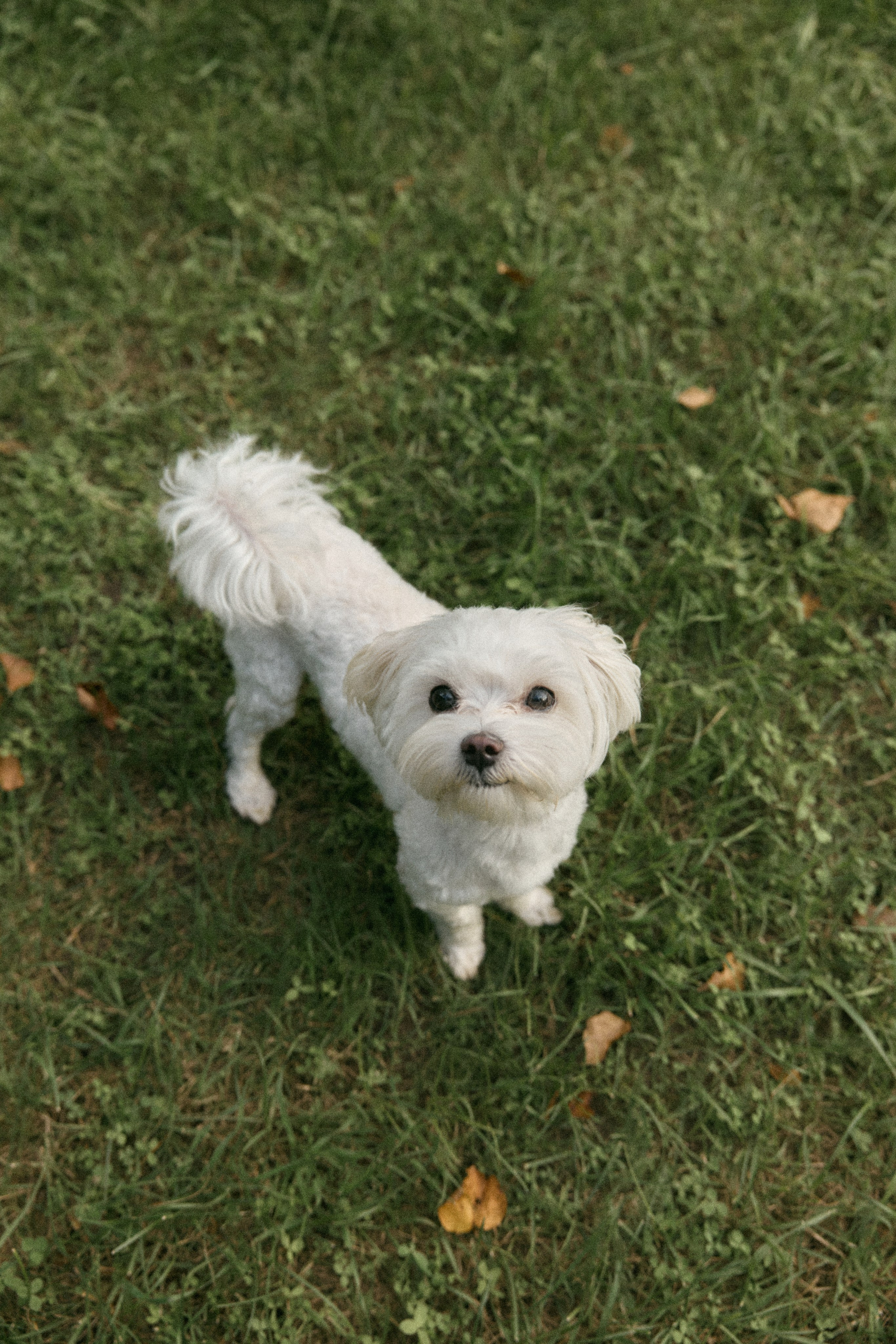 Илья + Ира. Семейный и детский фотограф Юлия Шох