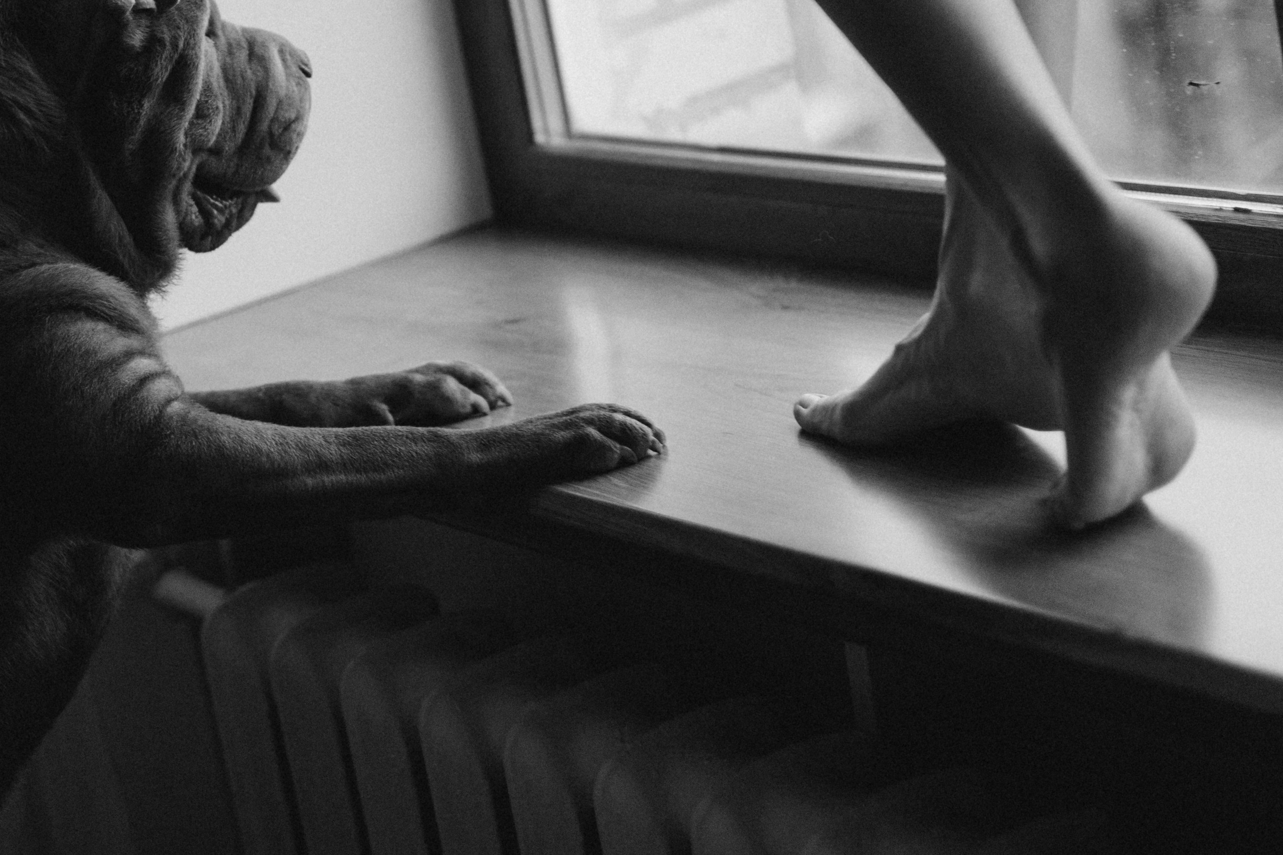 Ульяна и Вагнер. Фотограф — Анималист | Санкт-Петербург