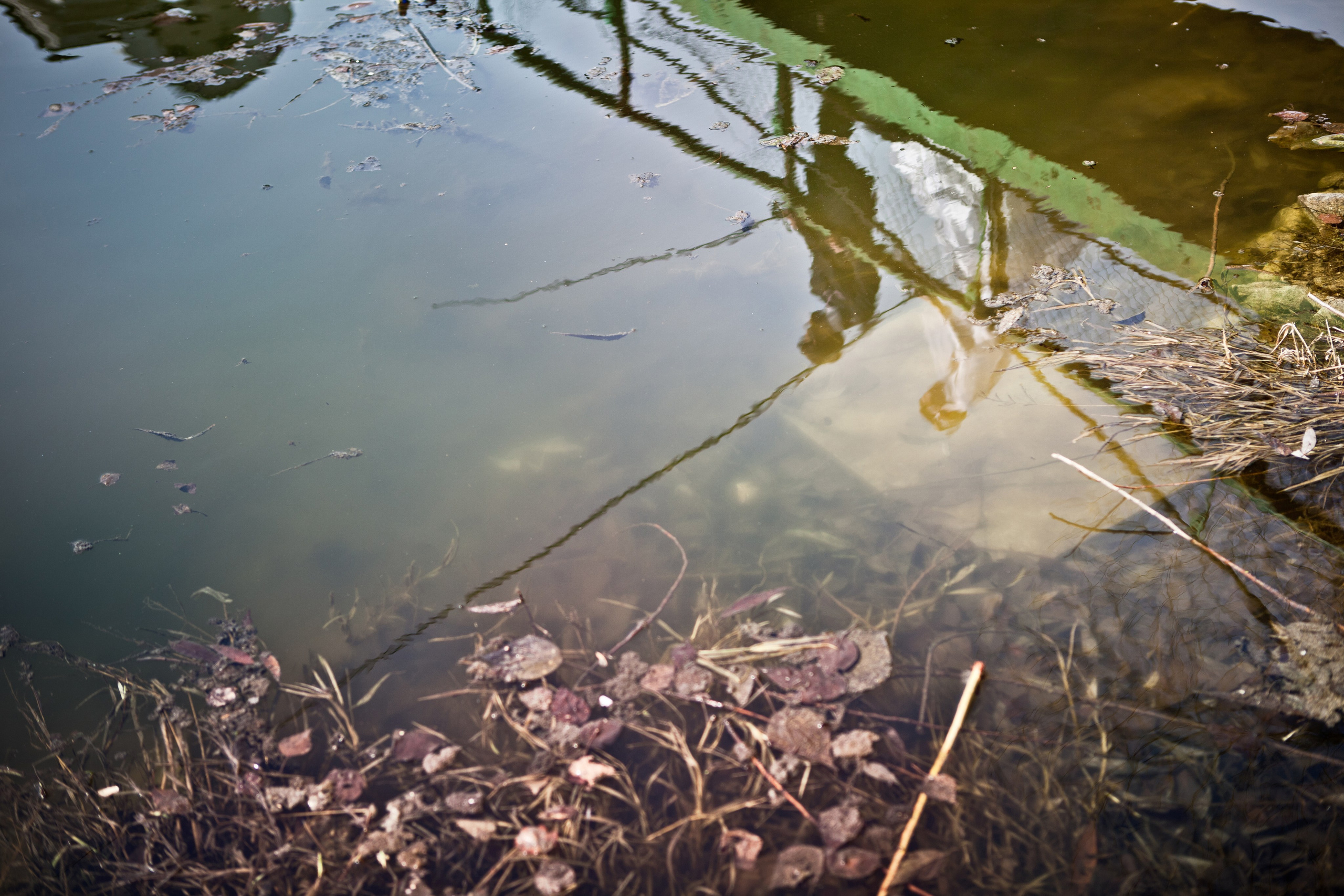 Свадебная съемка. Фотограф Константин Чувашов