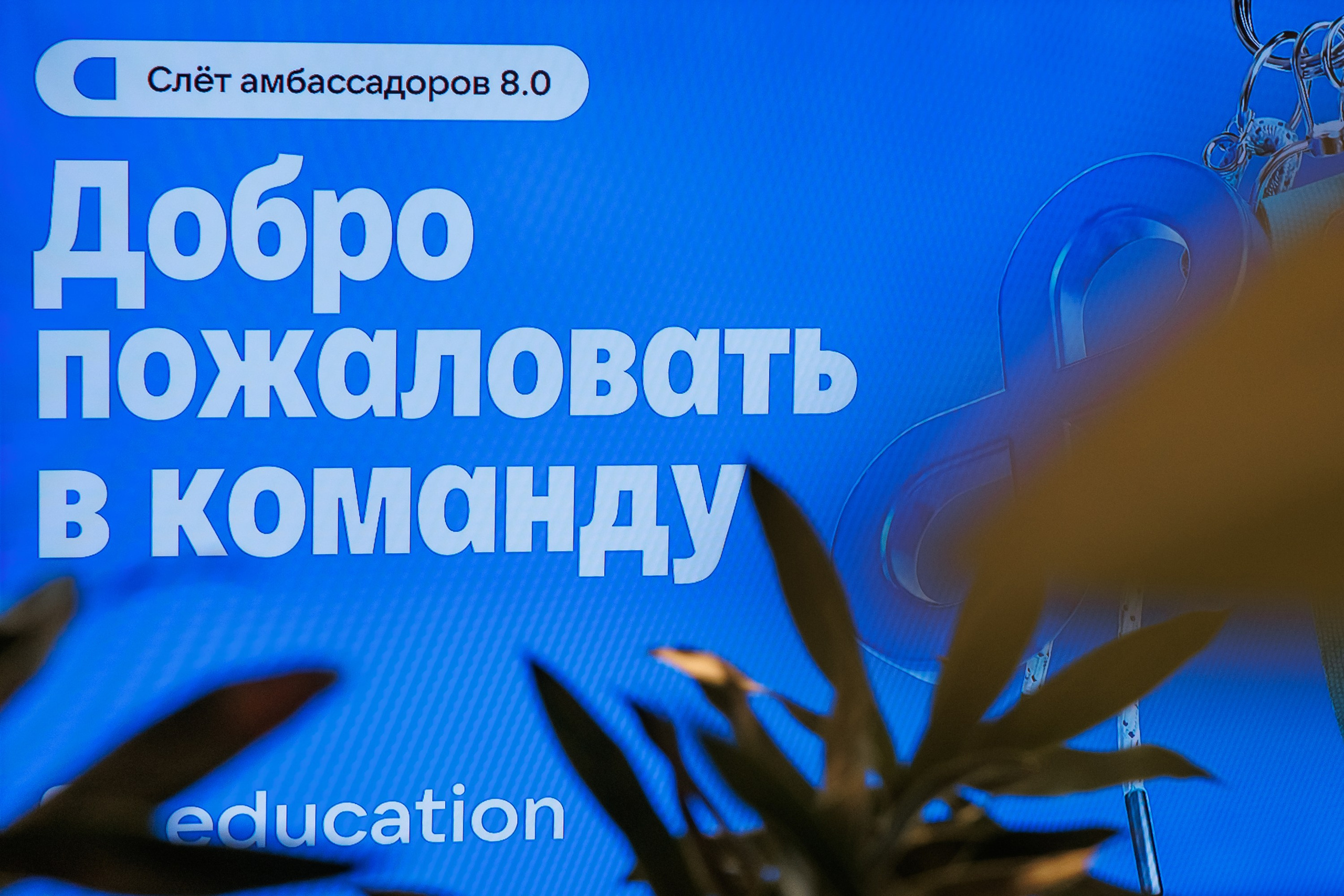 IT Выходные ВК. Репортажный фотограф. Москва. Алина Ланская