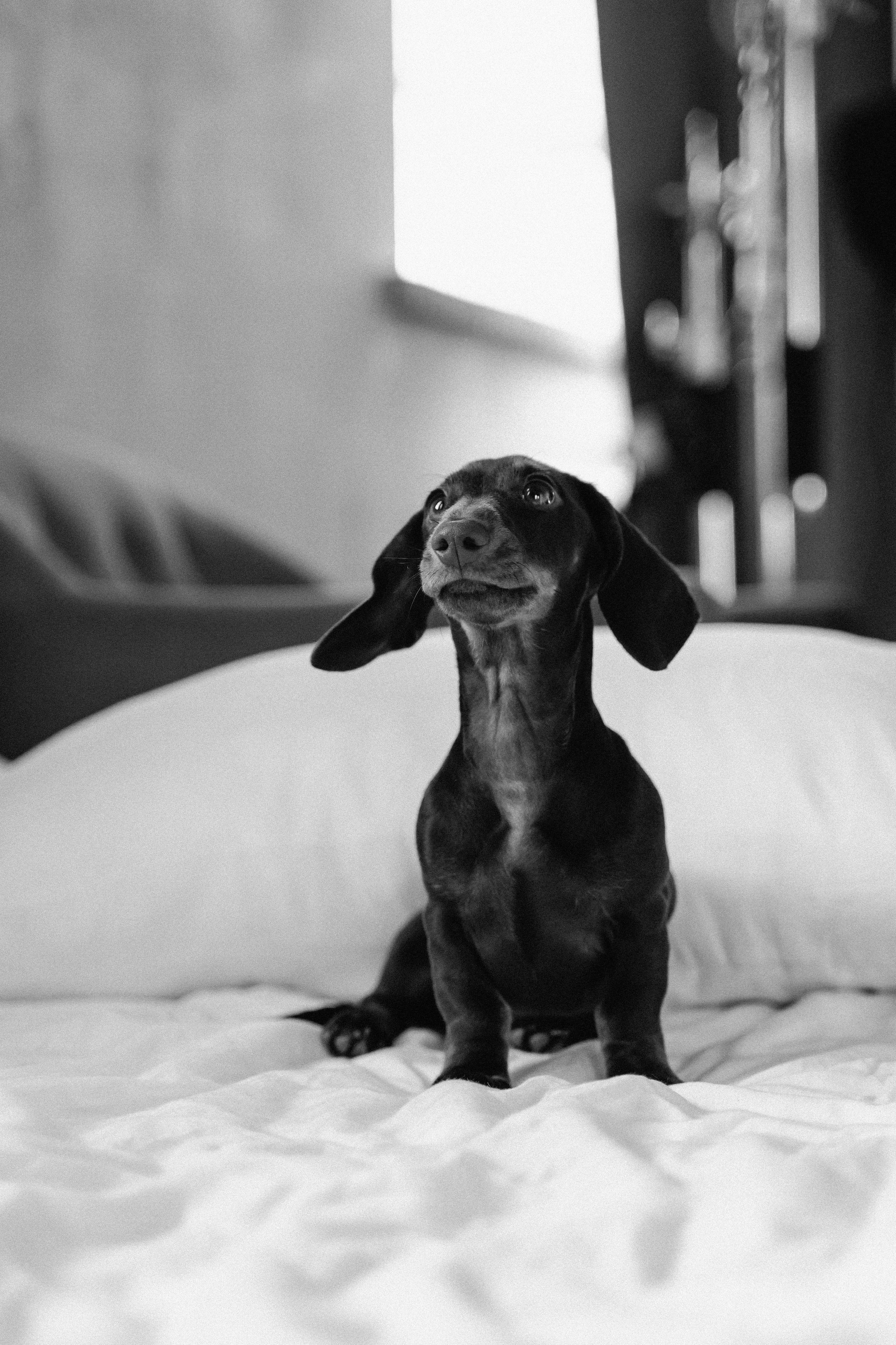 Дана и Данил. Фотограф Алина Филимонова Тверь