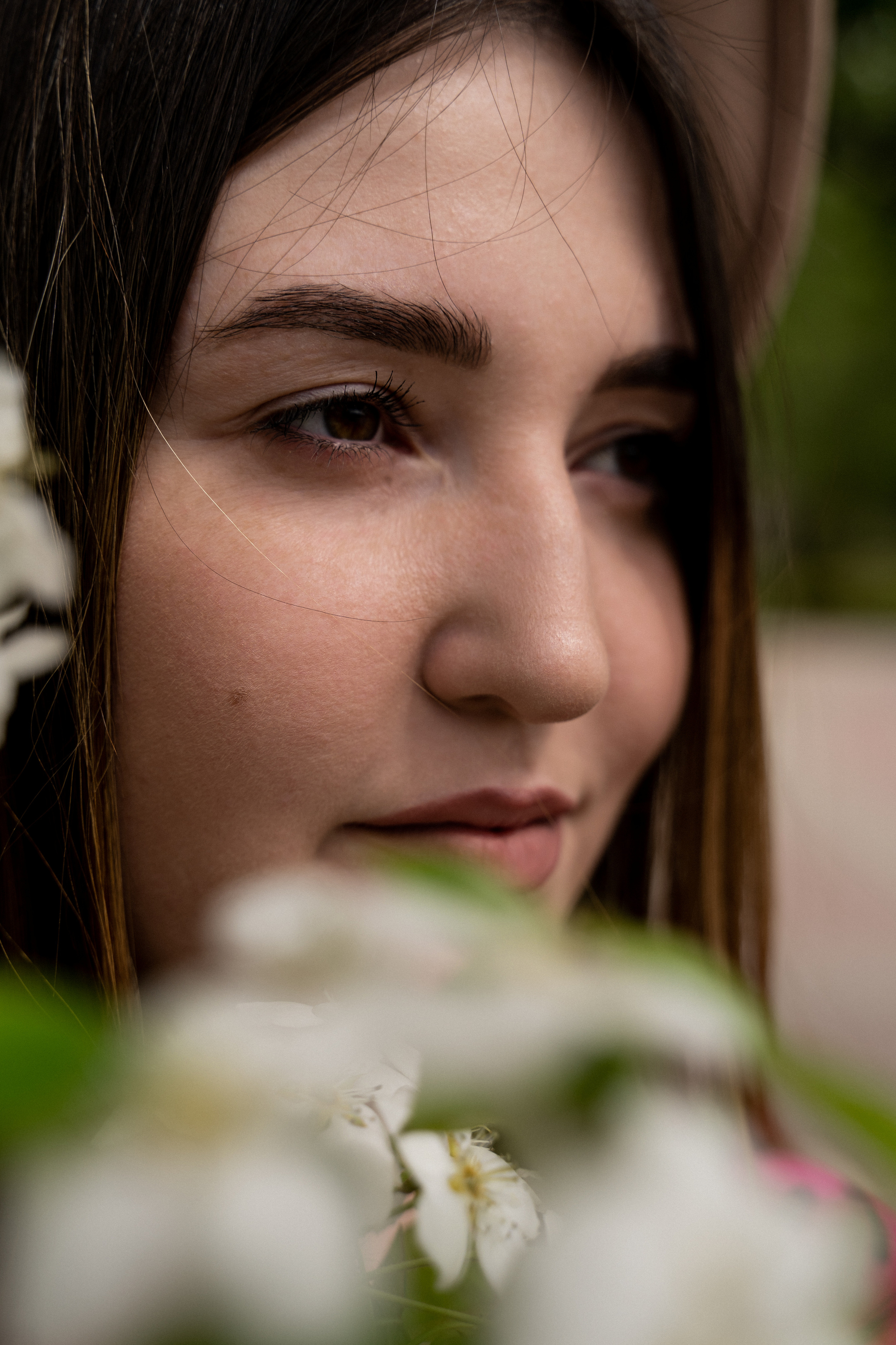 Цветение. Фотограф Алина Филимонова Тверь