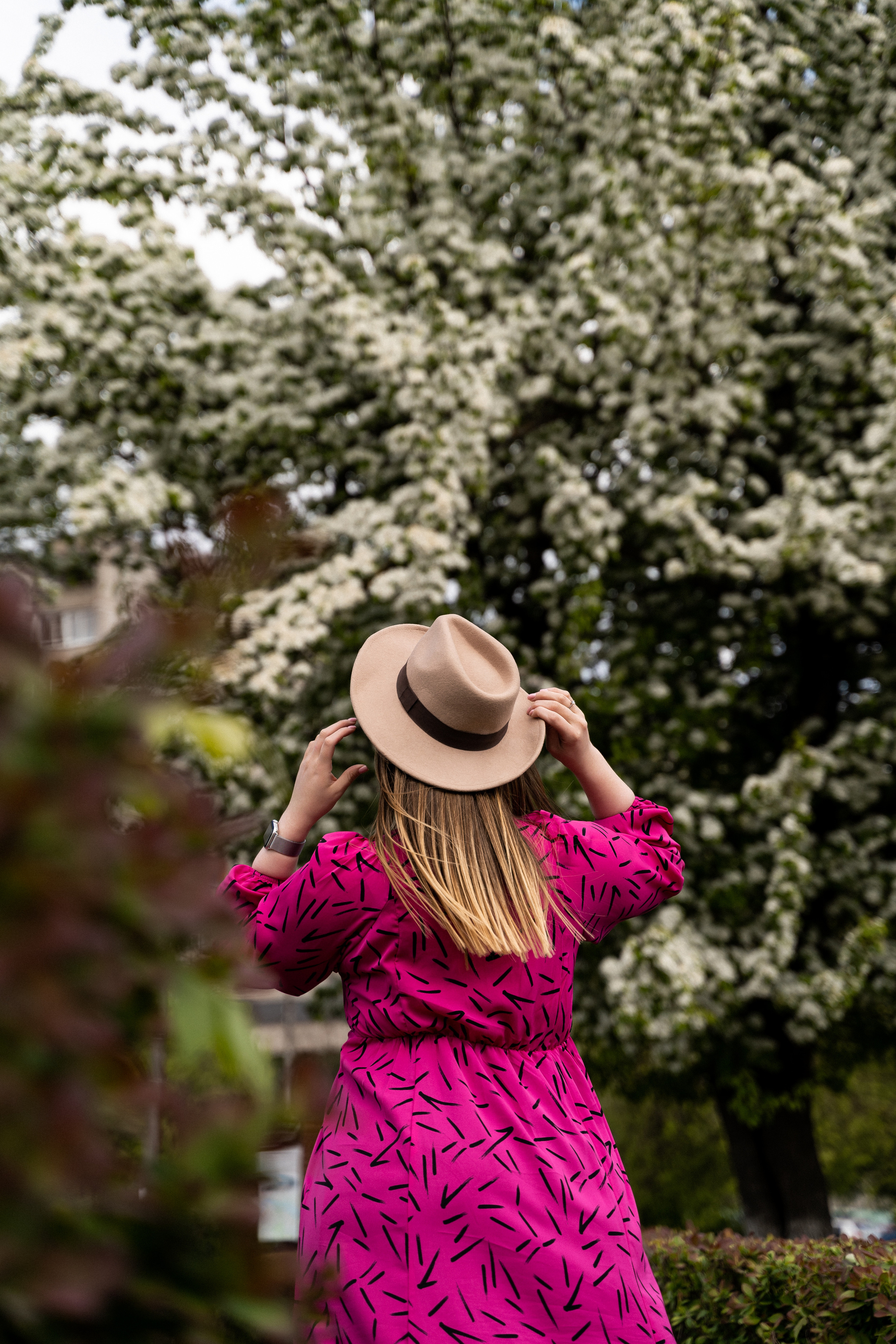 Цветение. Фотограф Алина Филимонова Тверь
