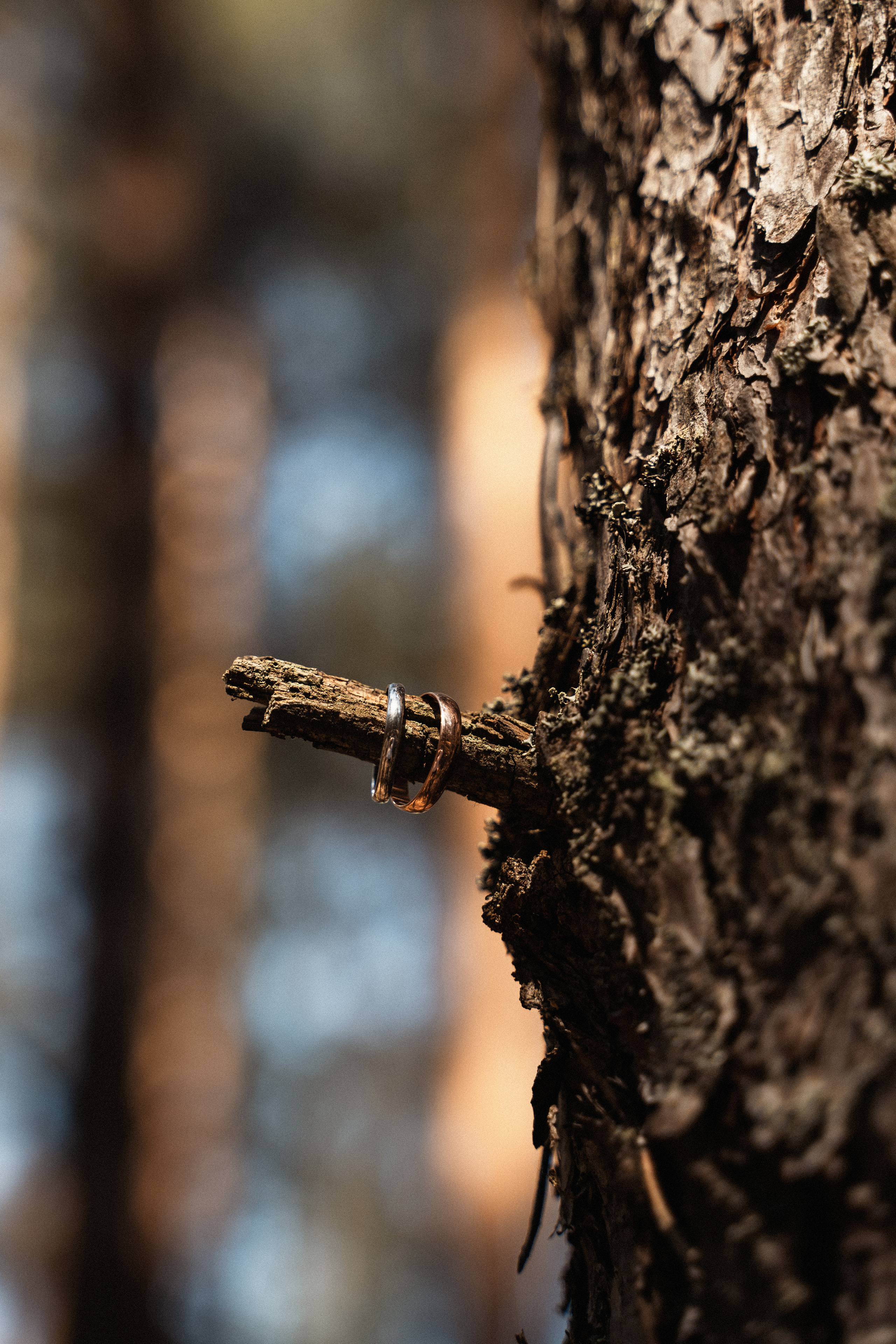 Алёна и Никита. Фотограф Алина Филимонова Тверь