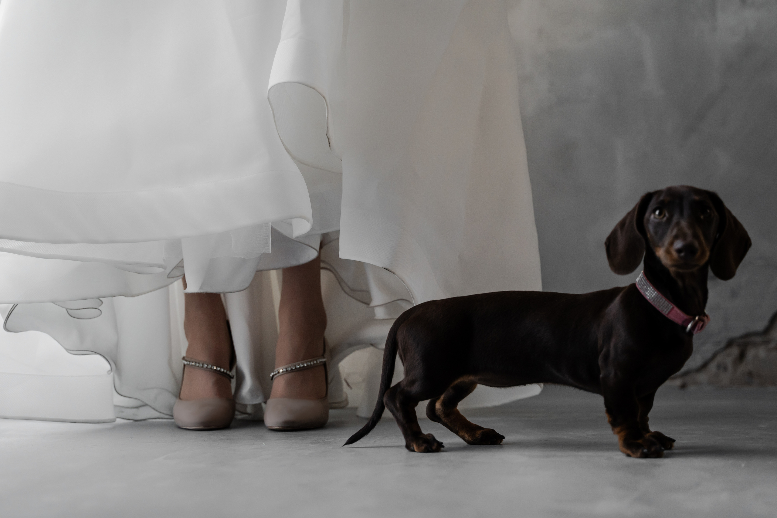 Дана и Данил. Фотограф Алина Филимонова Тверь