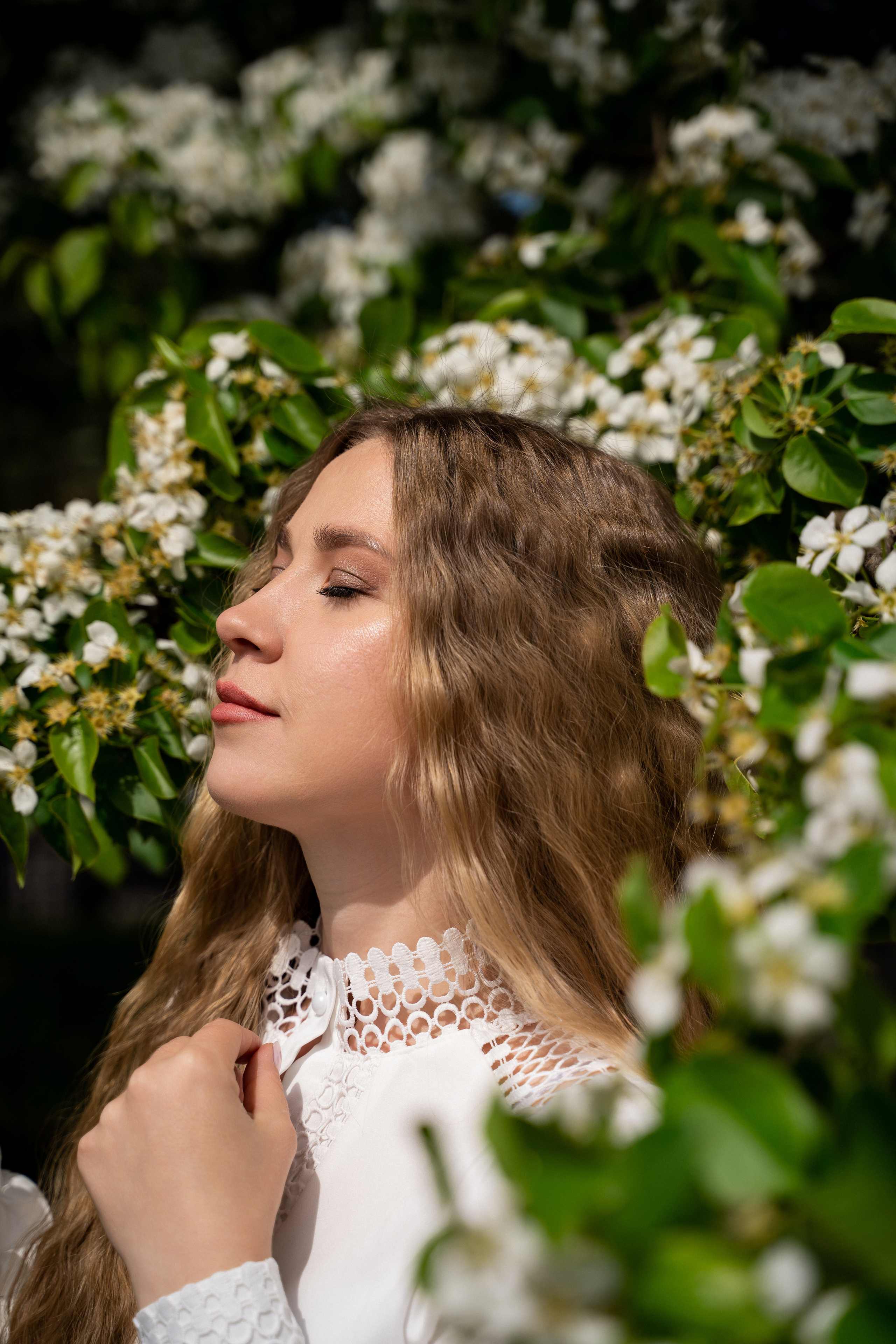 Цветение. Фотограф Алина Филимонова Тверь