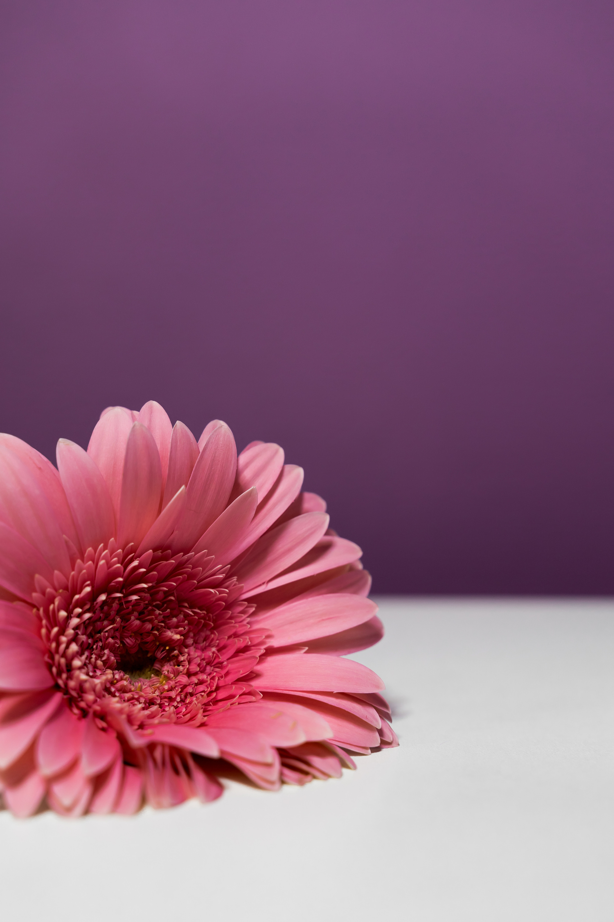 Лазерная эпиляция+LPG. Фотограф Алина Филимонова Тверь