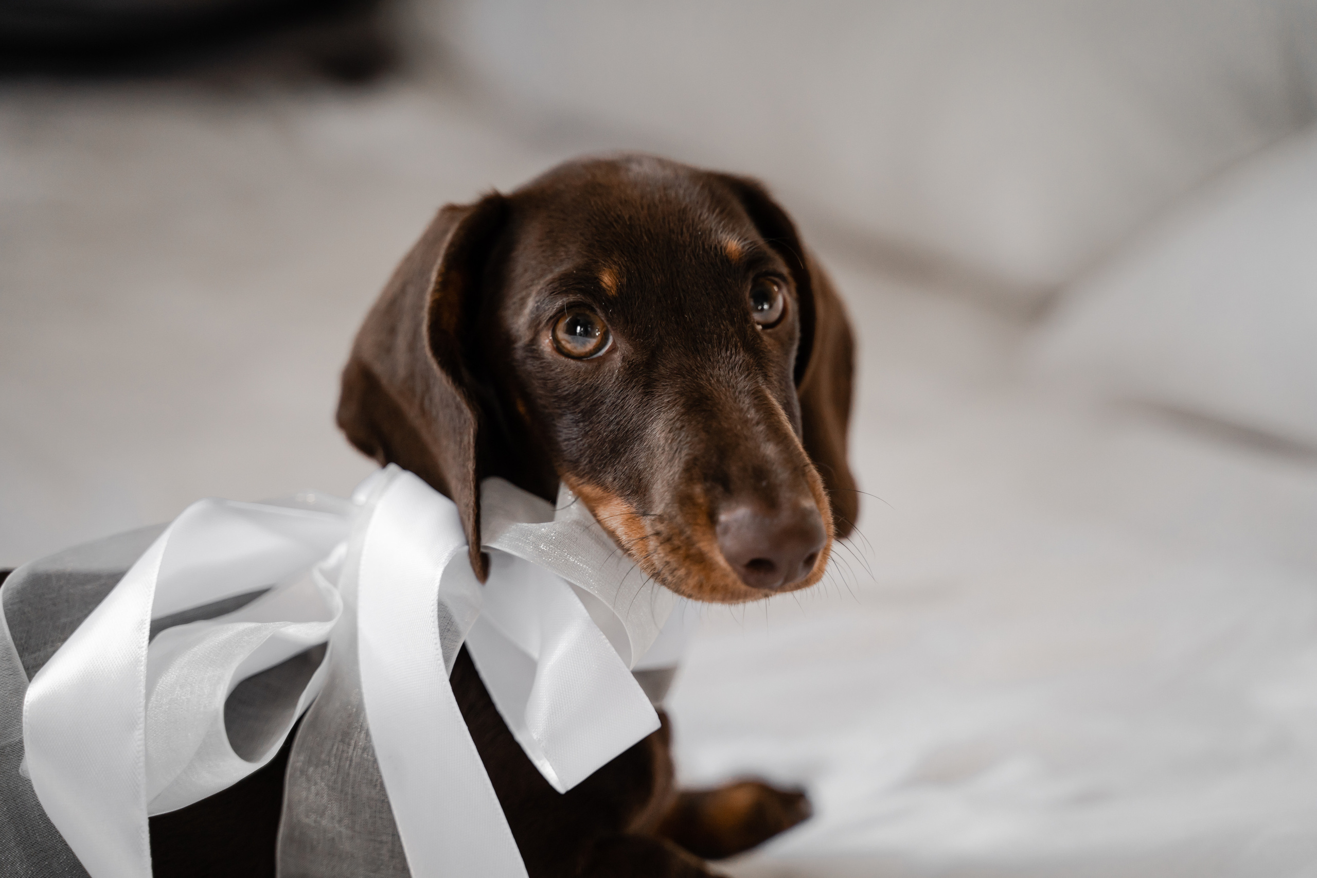 Дана и Данил. Фотограф Алина Филимонова Тверь