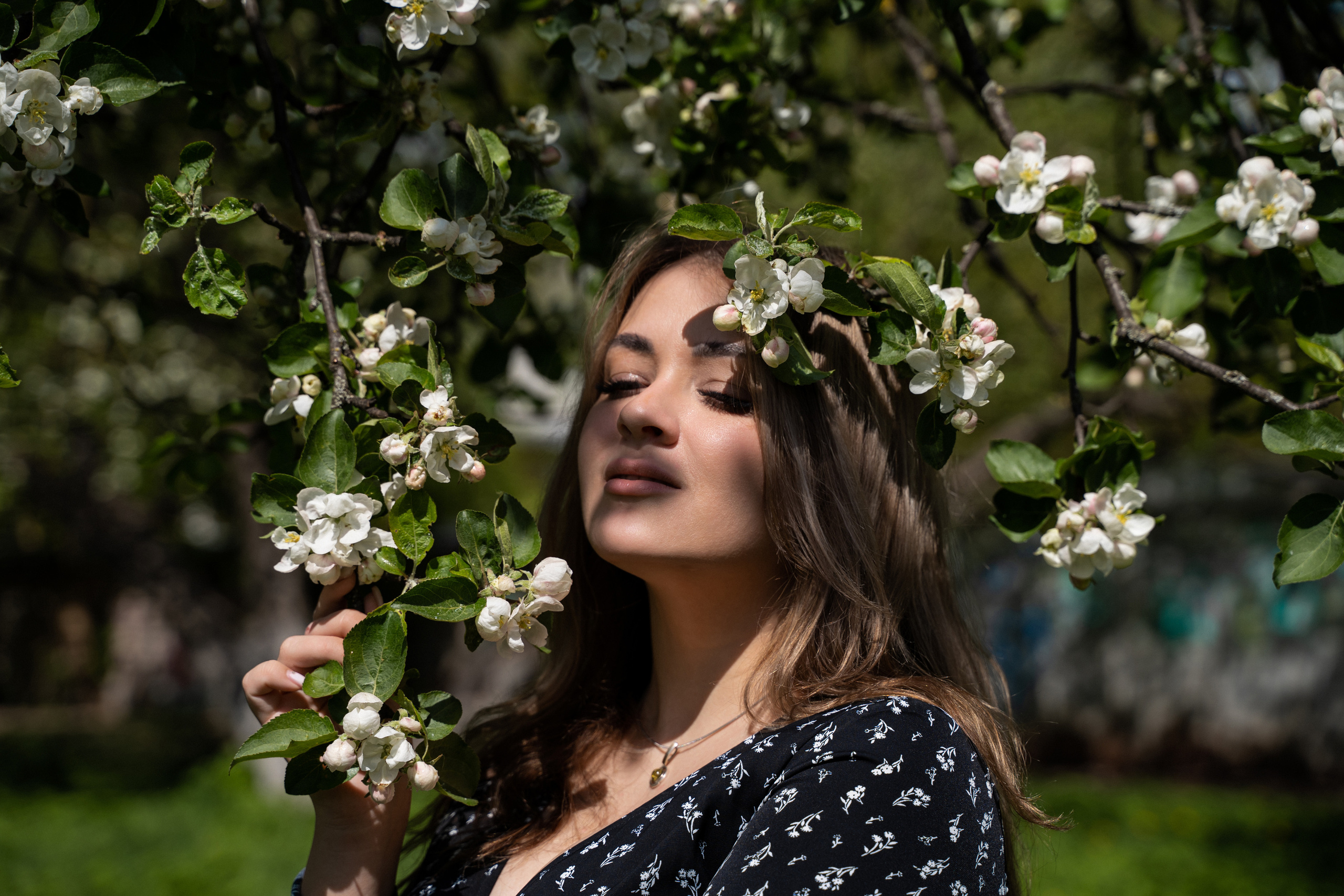 Цветение. Фотограф Алина Филимонова Тверь