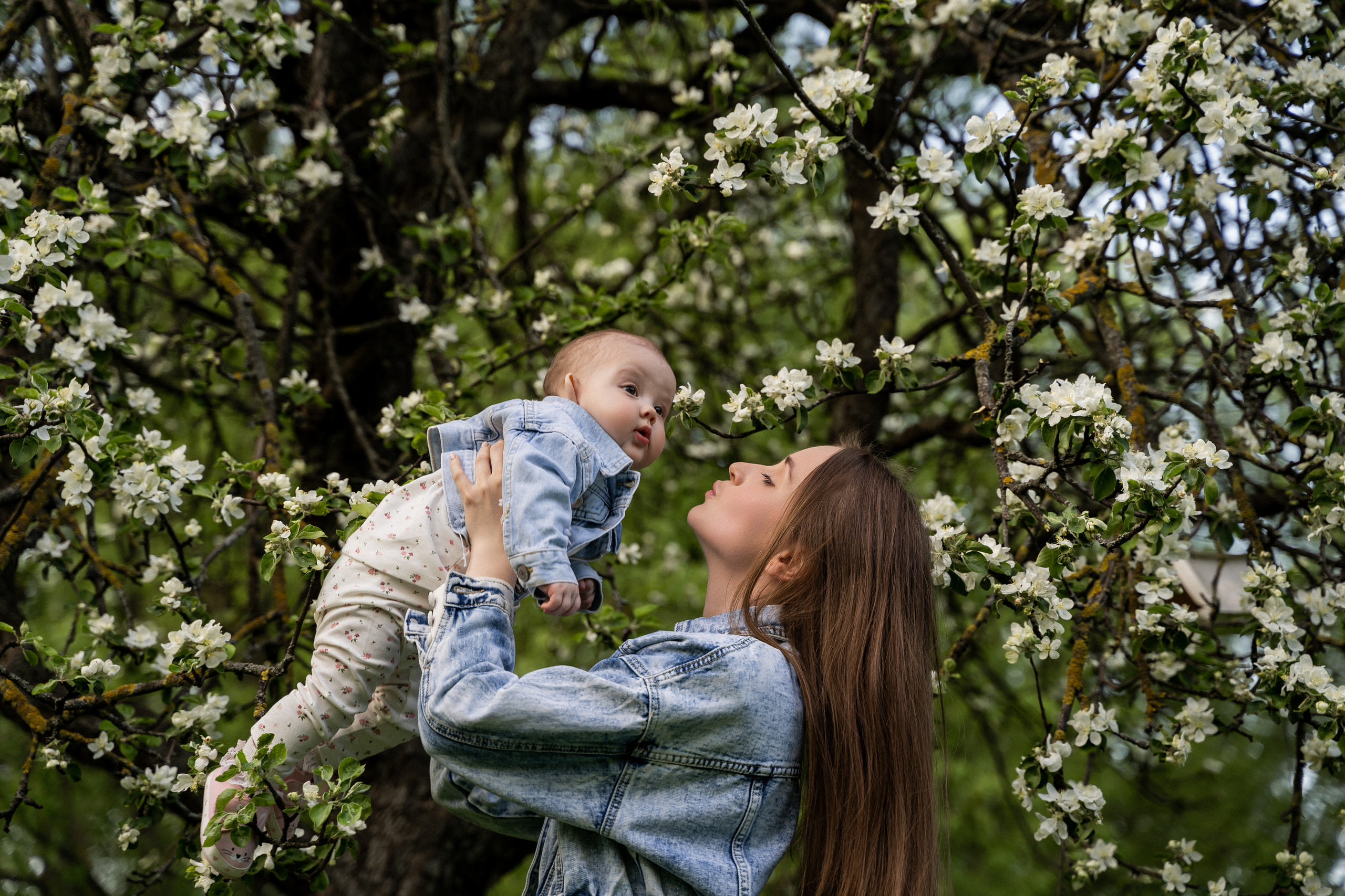Цветение. Фотограф Алина Филимонова Тверь
