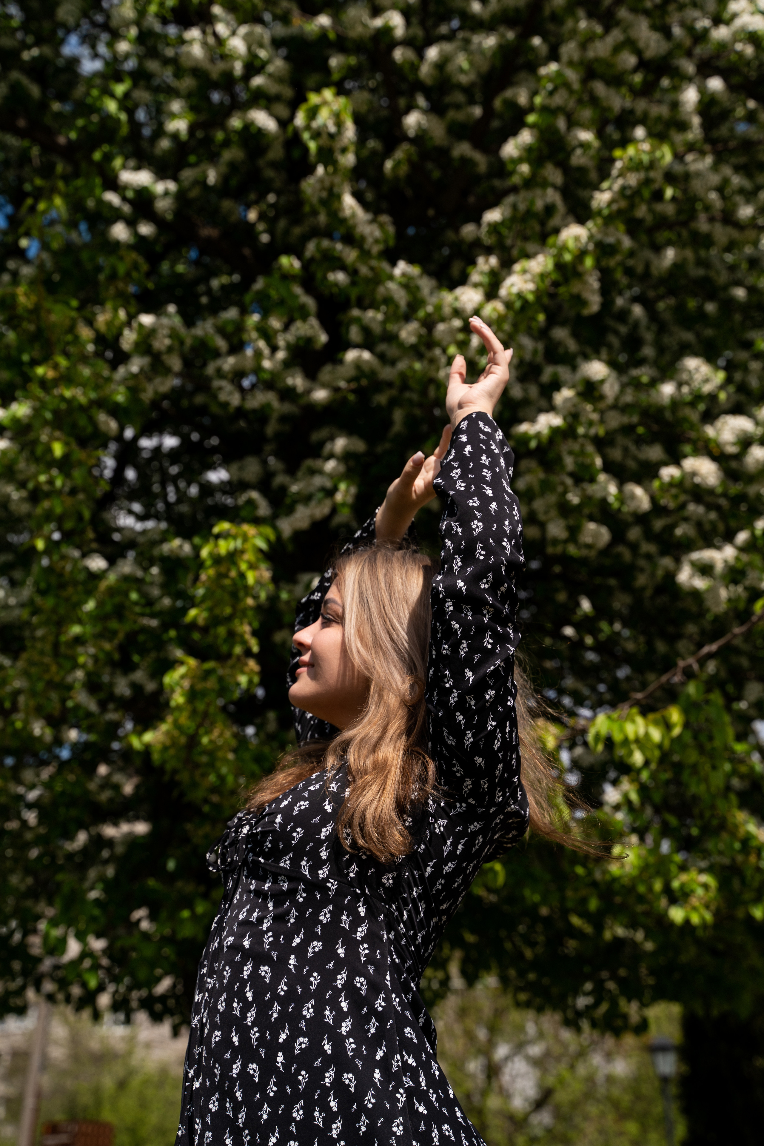 Цветение. Фотограф Алина Филимонова Тверь