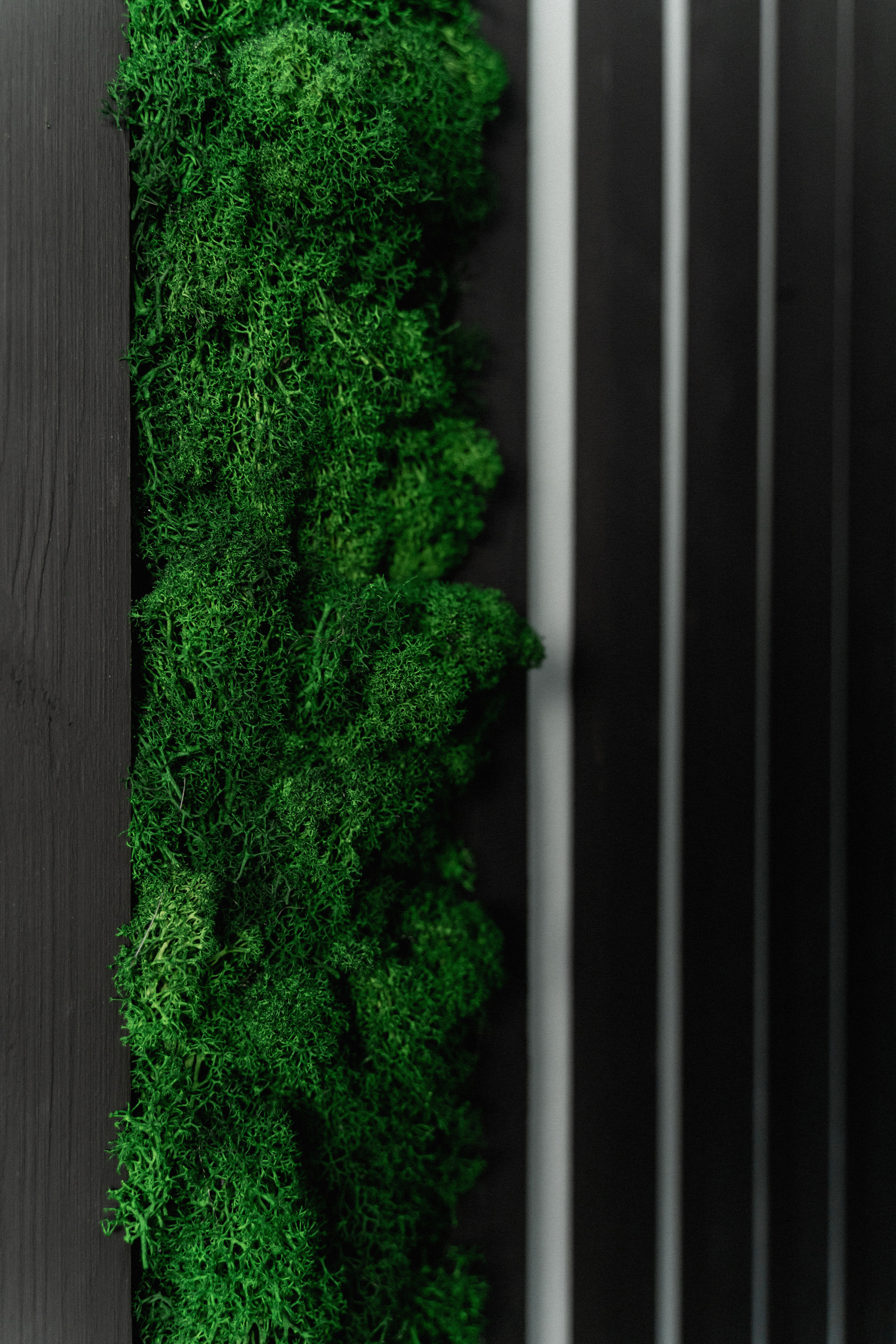 Мастер маникюра — Анастасия. Фотограф Алина Филимонова Тверь