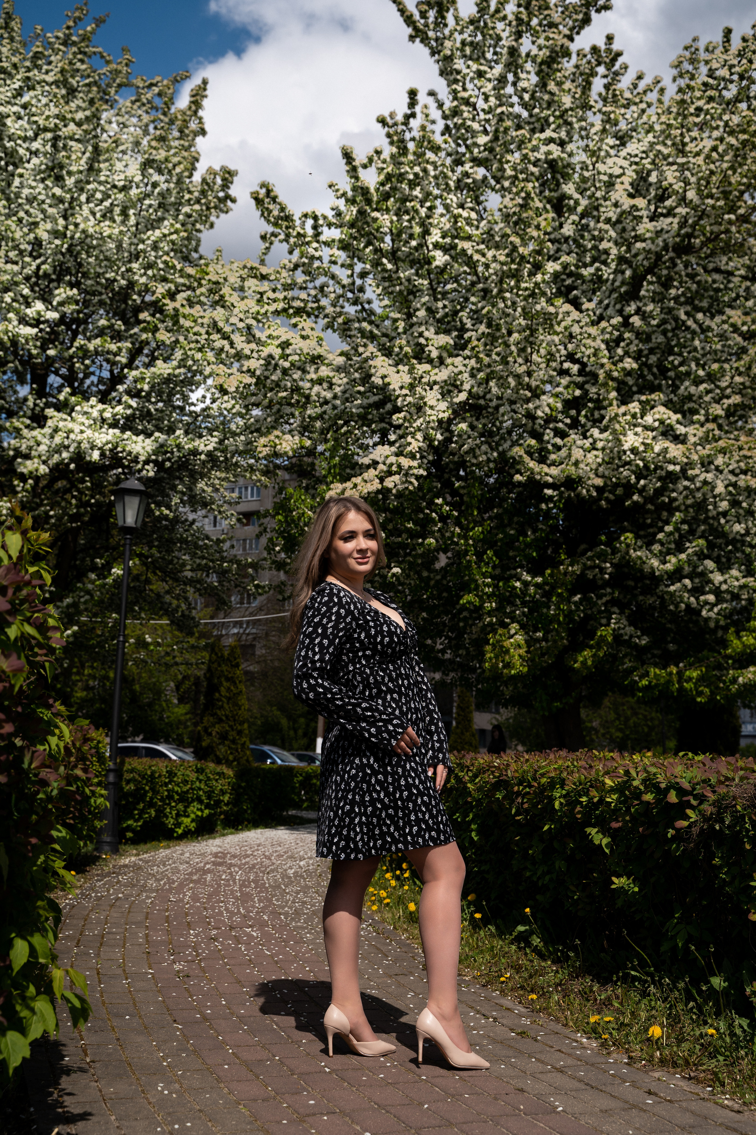 Цветение. Фотограф Алина Филимонова Тверь