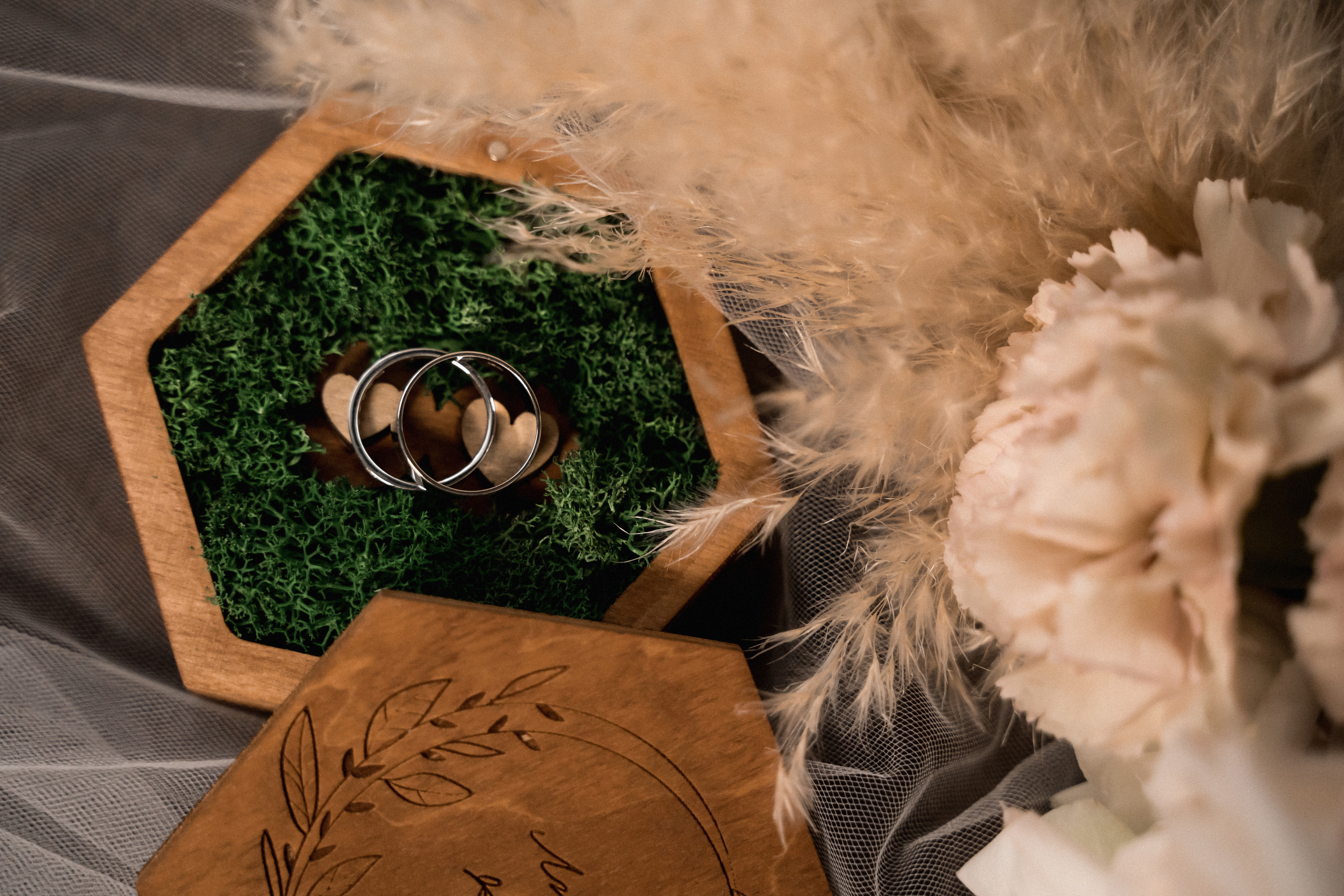 Лена и Максим. Фотограф Алина Филимонова Тверь