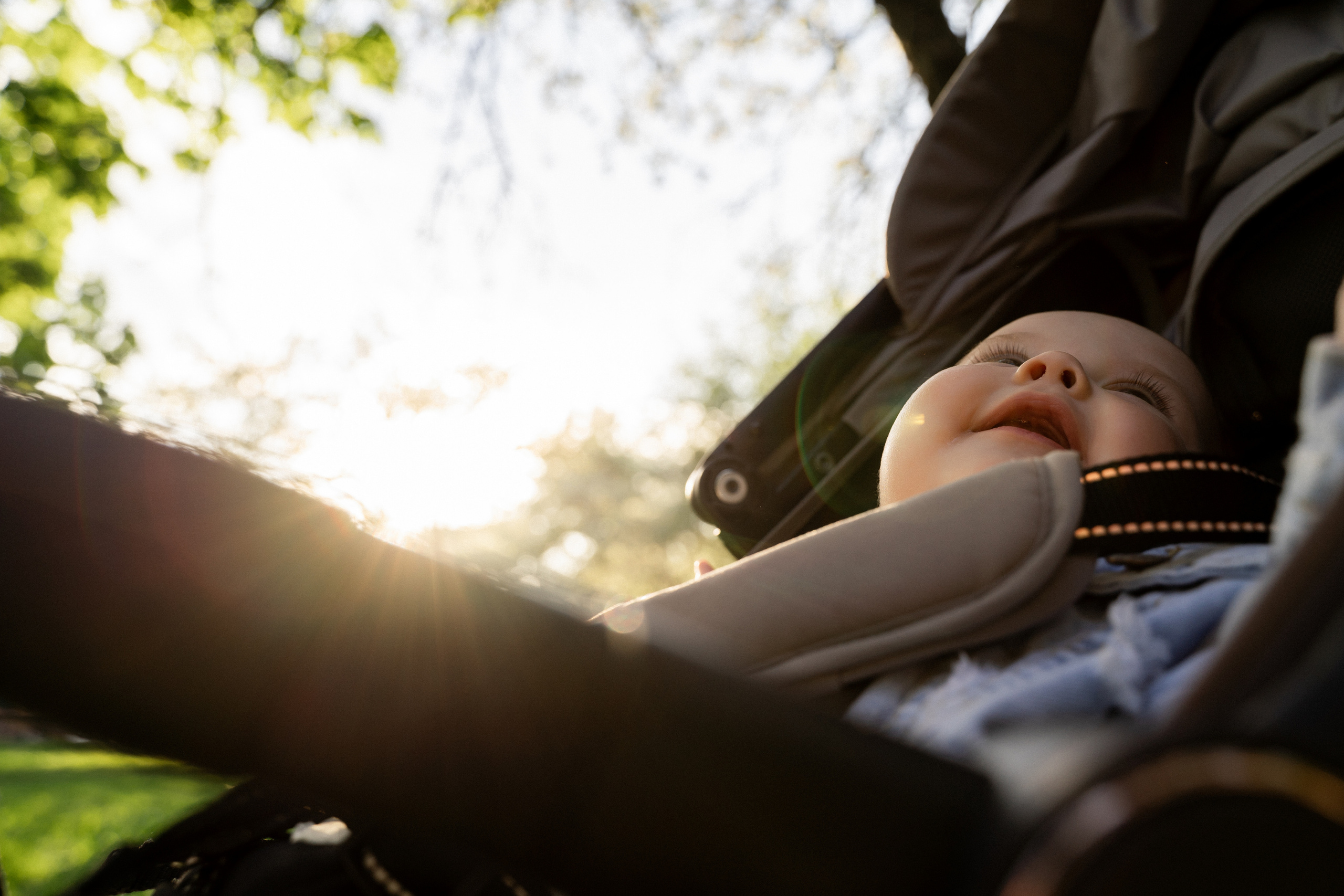 Цветение. Фотограф Алина Филимонова Тверь