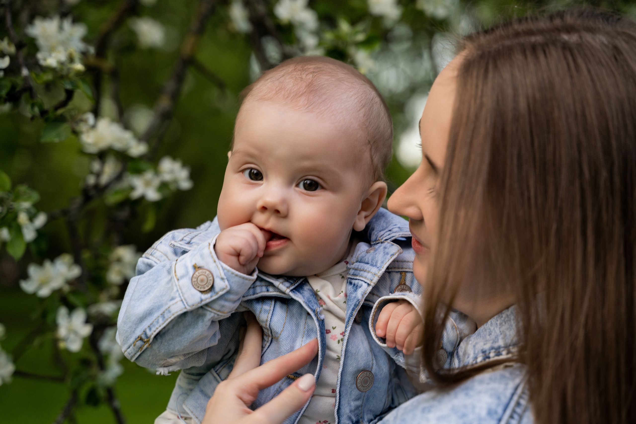 Цветение. Фотограф Алина Филимонова Тверь