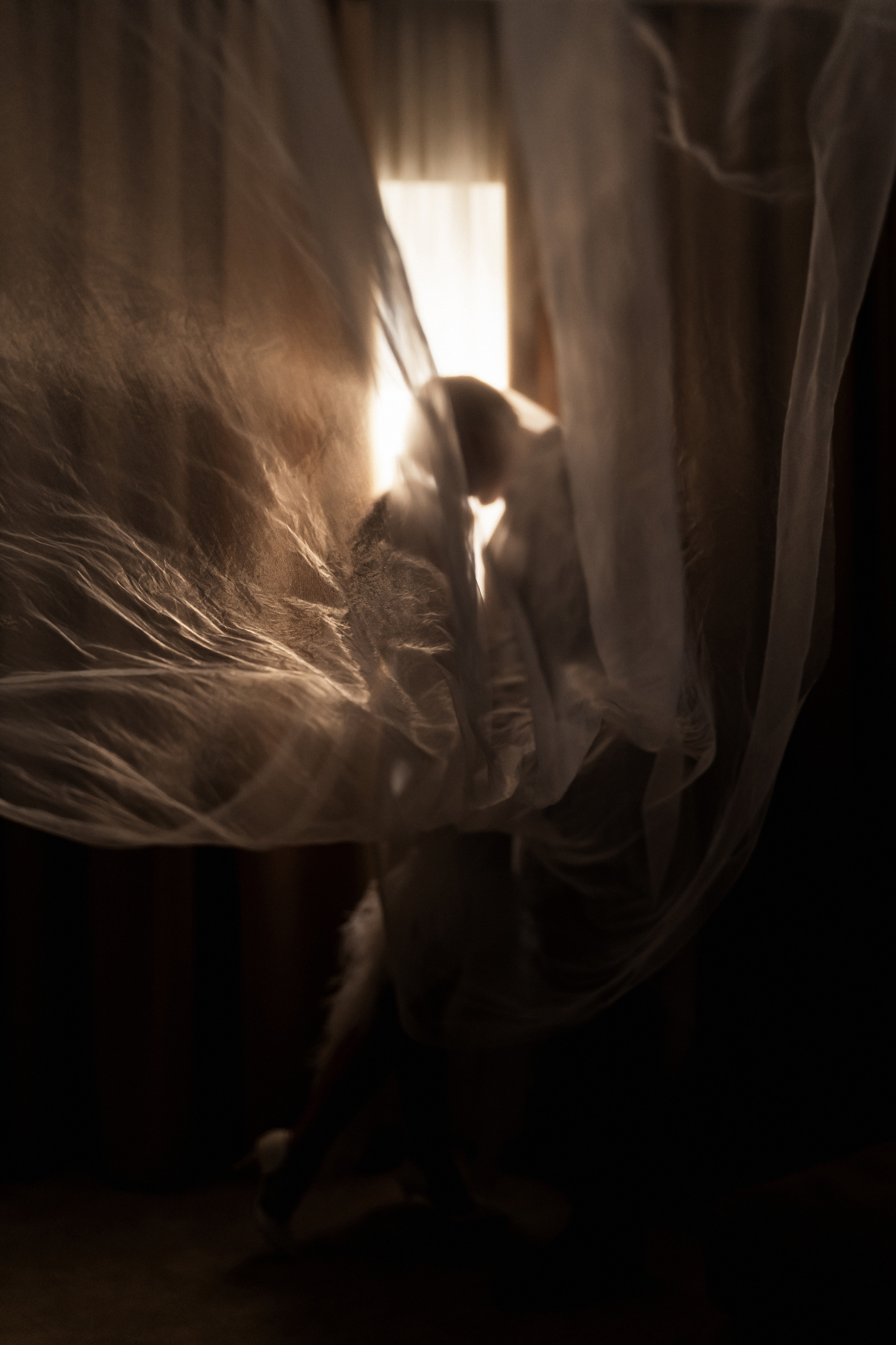 Вика и Артём. Фотограф Алина Филимонова Тверь