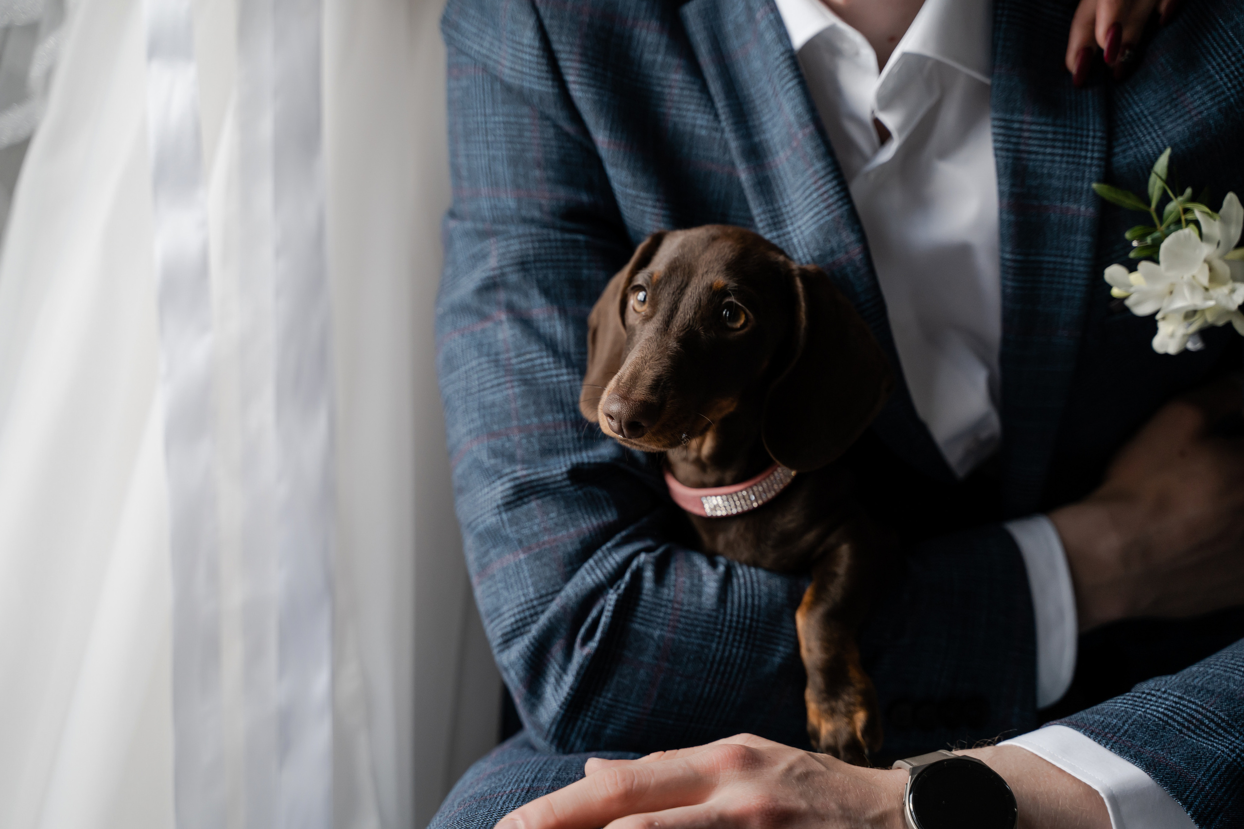 Дана и Данил. Фотограф Алина Филимонова Тверь