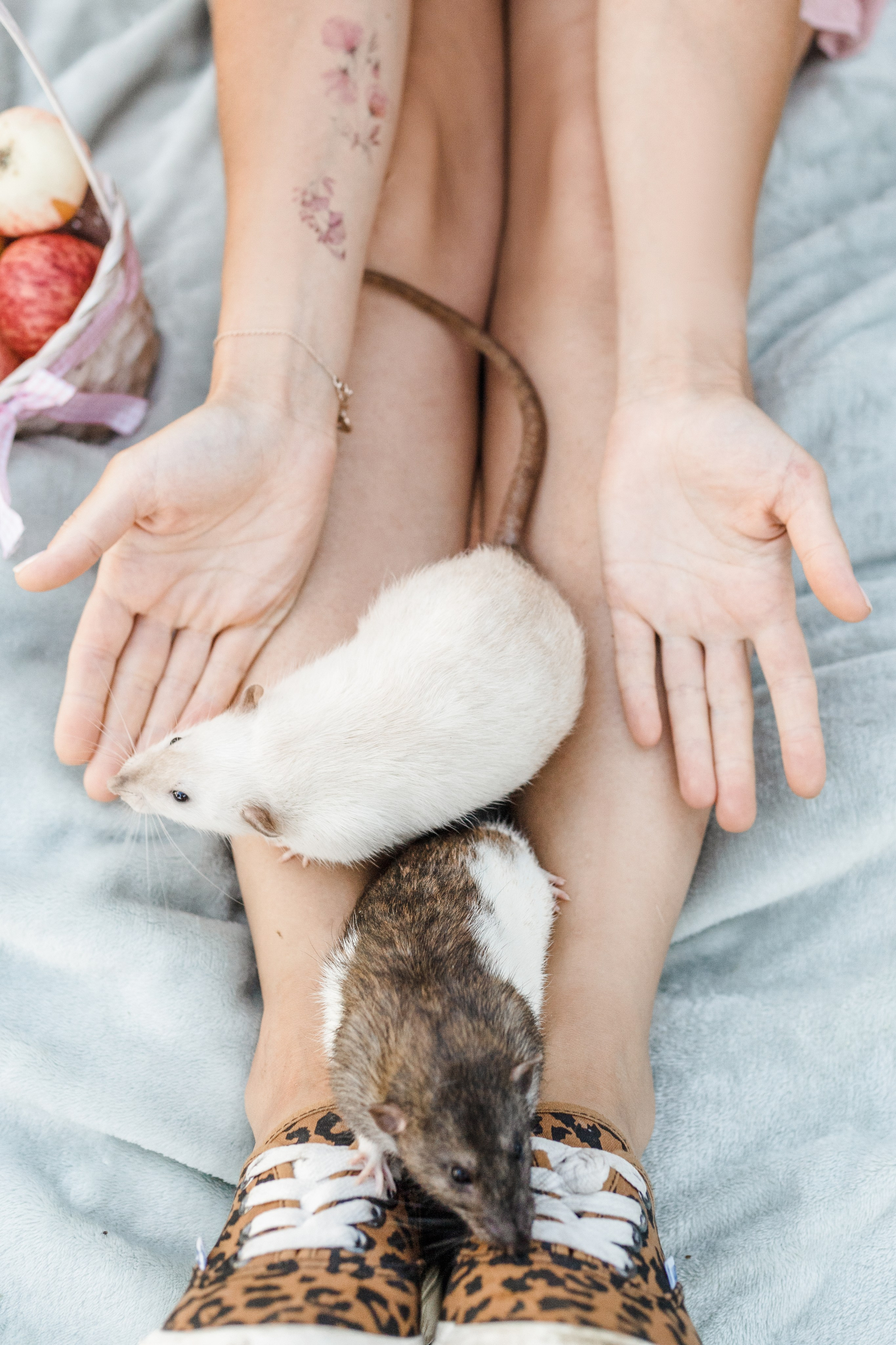 Наташа и её мальчики. Портфолио