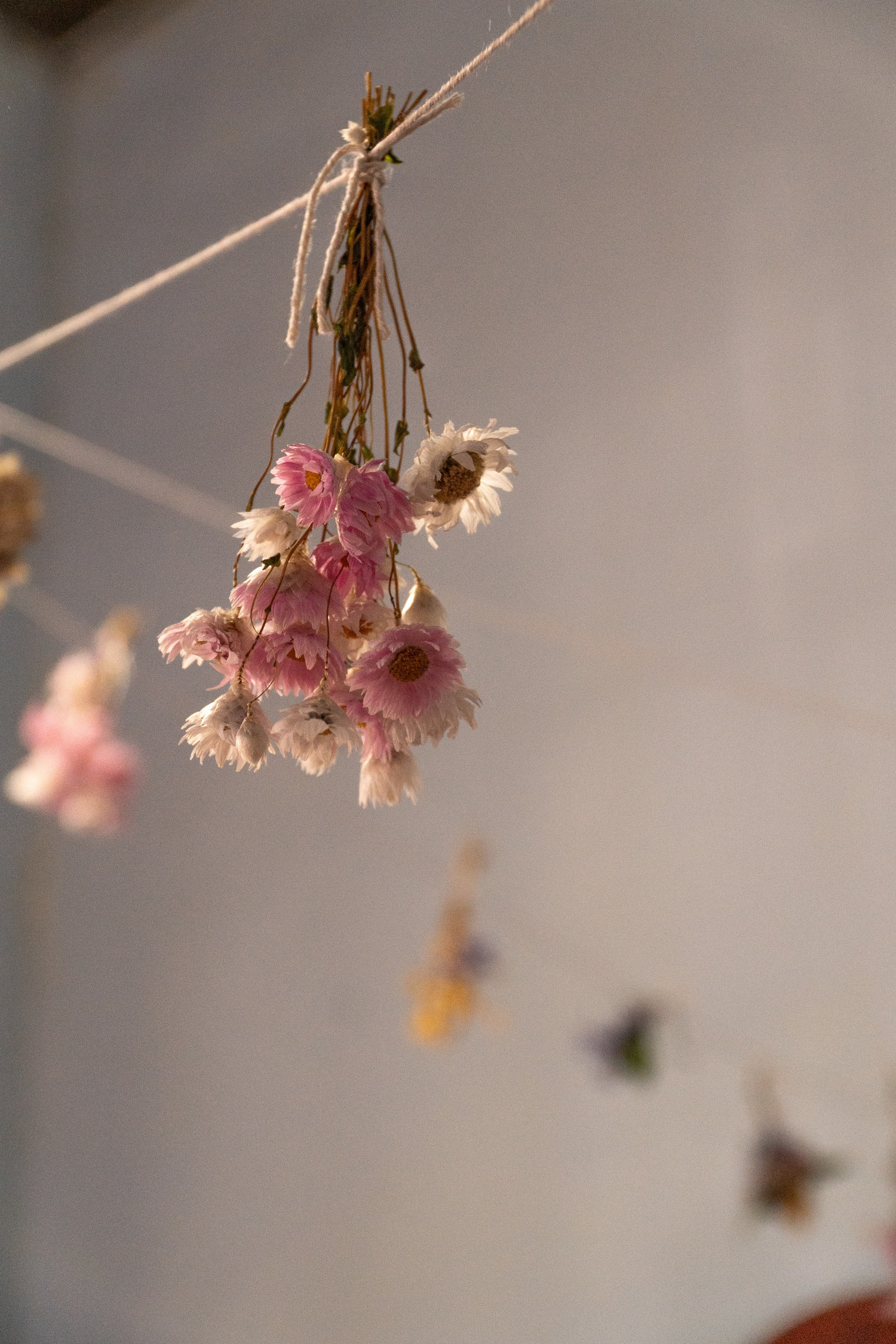 Jaime and Carolyna. Wedding Photographer in Barcelona and Medellin