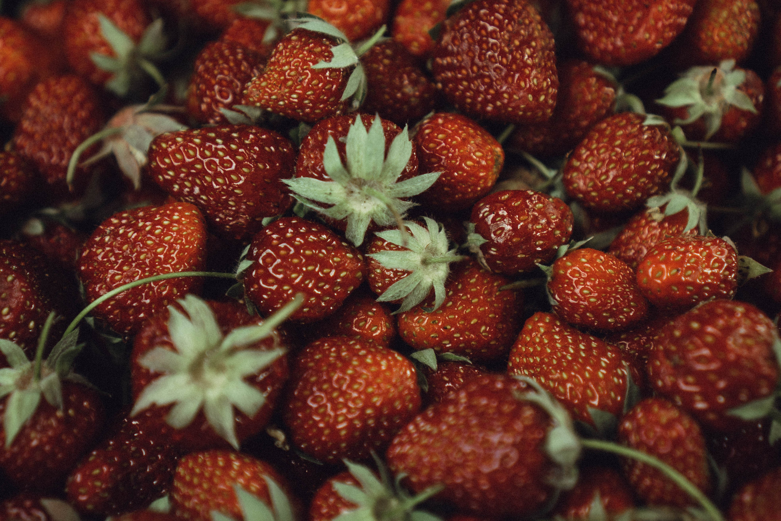 Кавказ. Профессиональный фотограф, Санкт-Петербург — Виктория Богомолова
