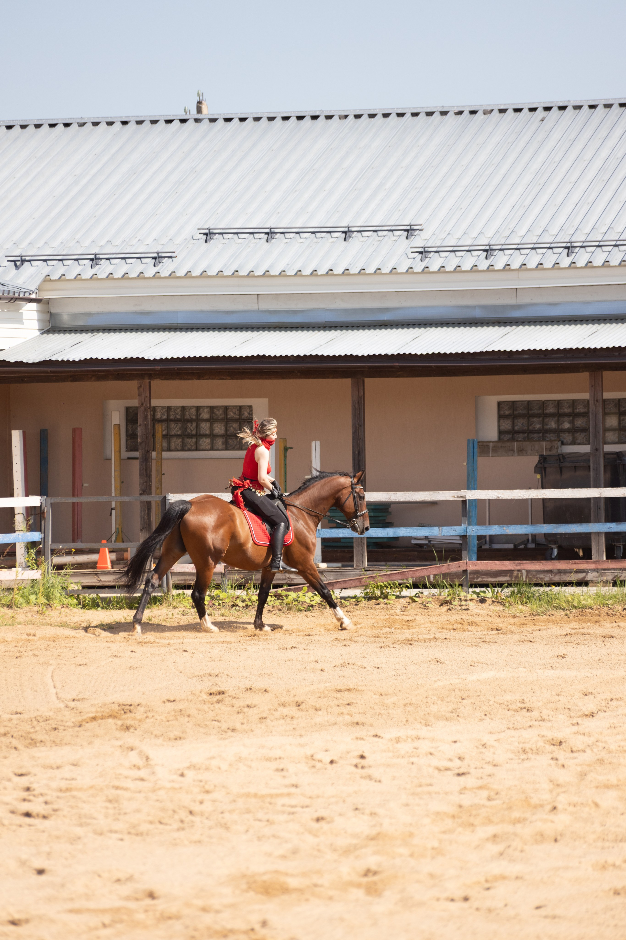 Конюшня. Фотограф в Москве и Истре