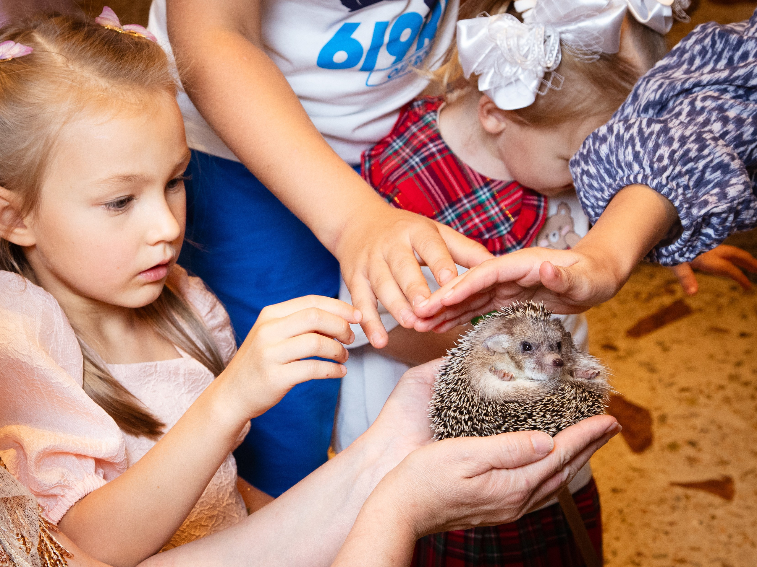 Репортаж мероприятий. Фотограф Москва и МО, Кристина Муслимова
