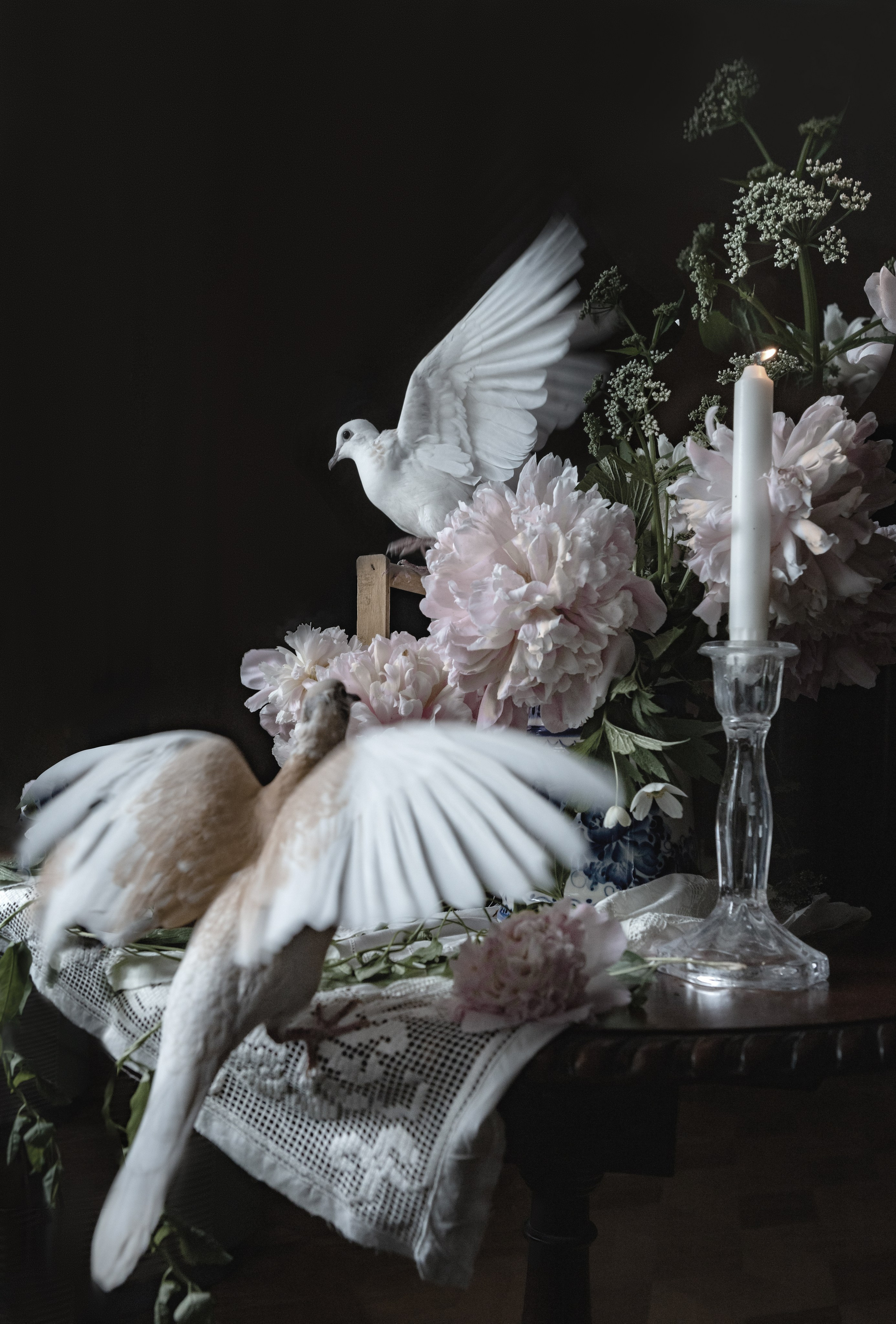 ЦВЕТЫ И ГОРЛИЦЫ. Фотограф на крестины