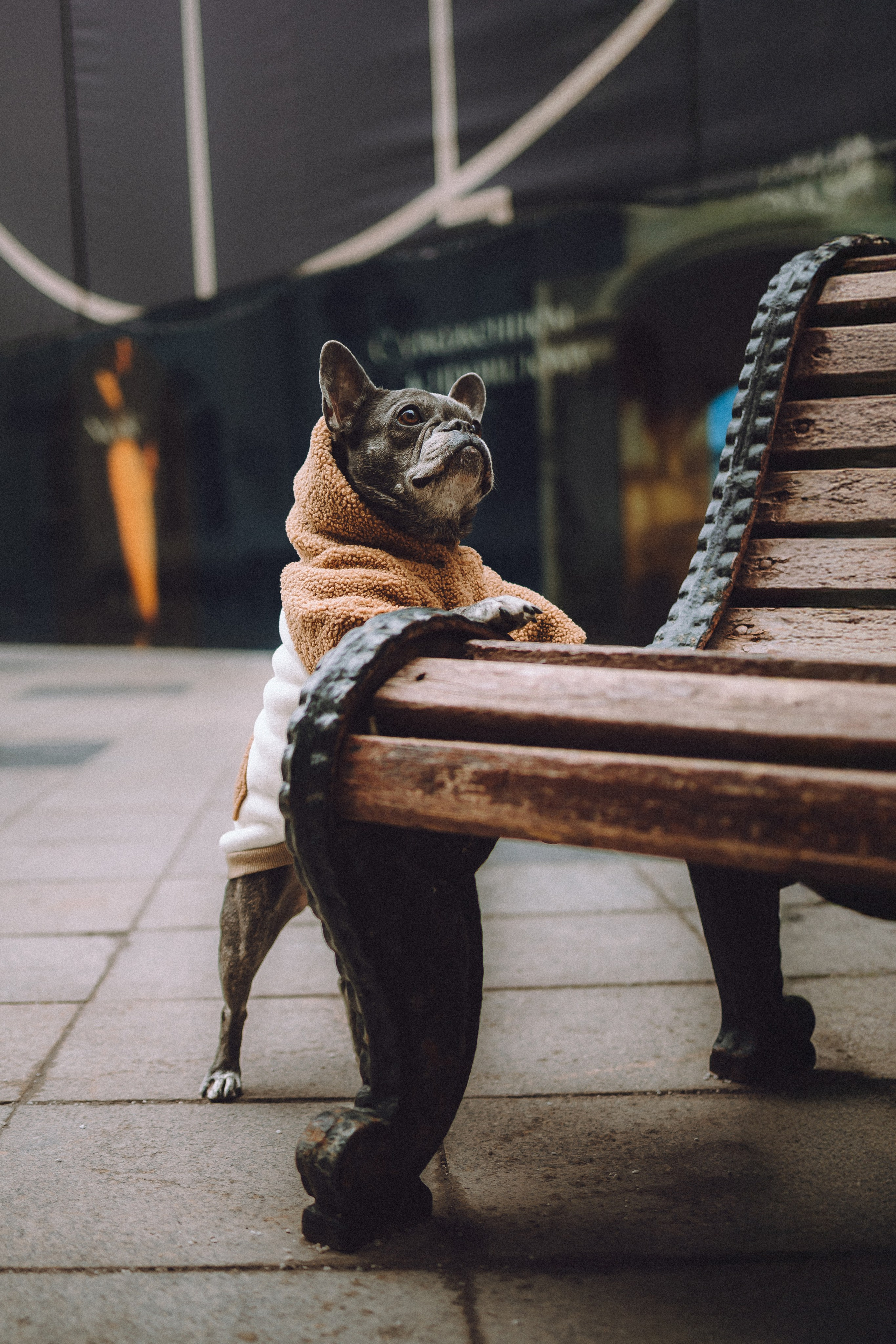 Юля, Вова и Моня