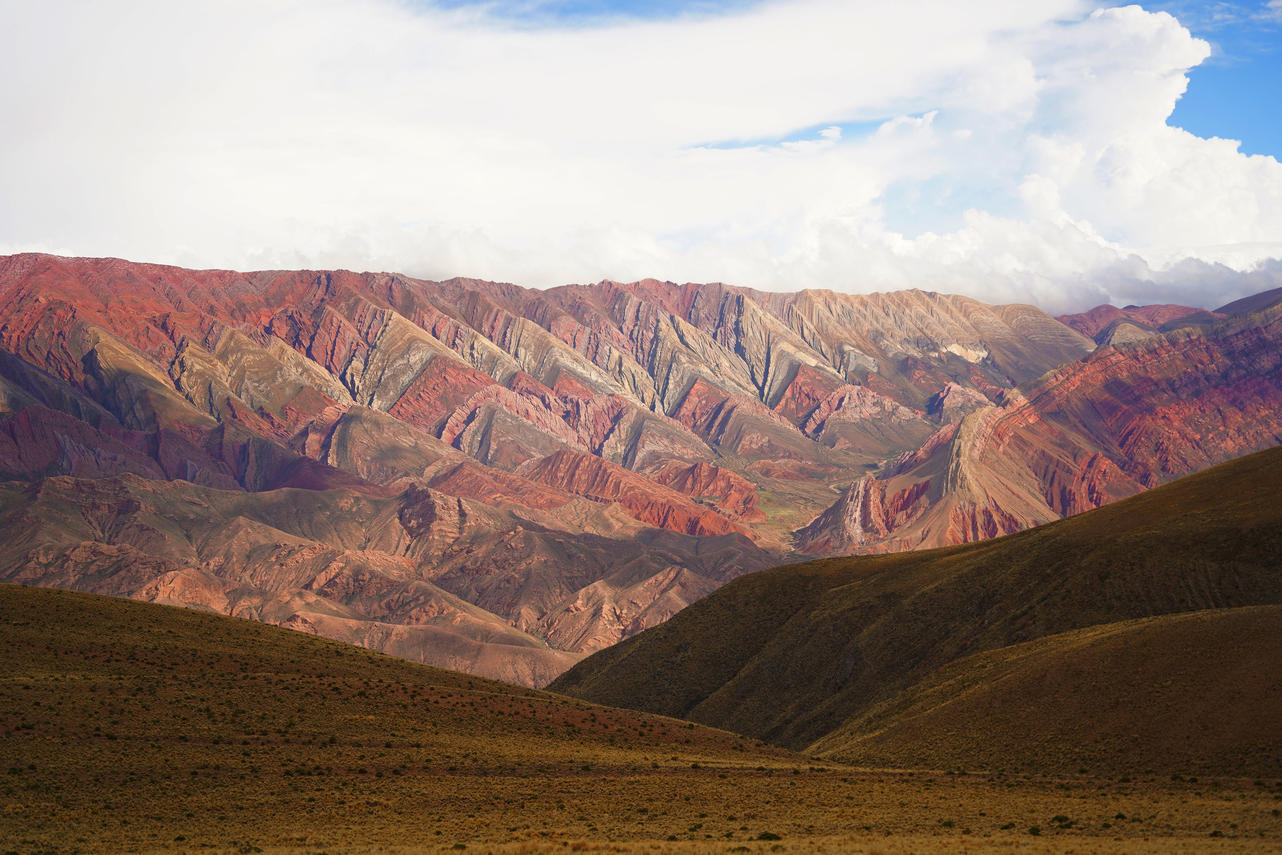 Купить фотографию пейзажа для интерьера