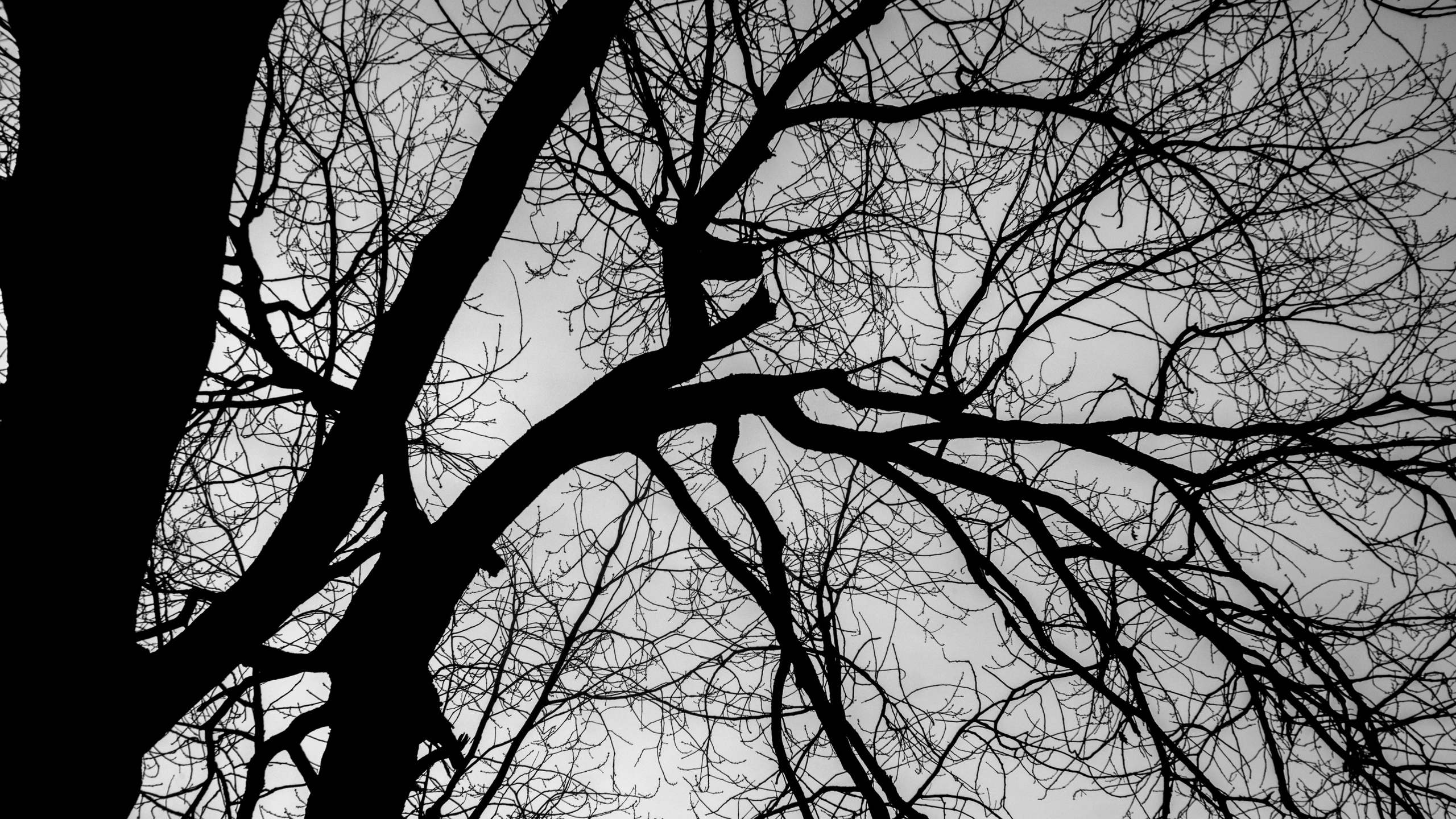 Пейзажи. Фотограф Димитровград Казань Валерия Владимиркина