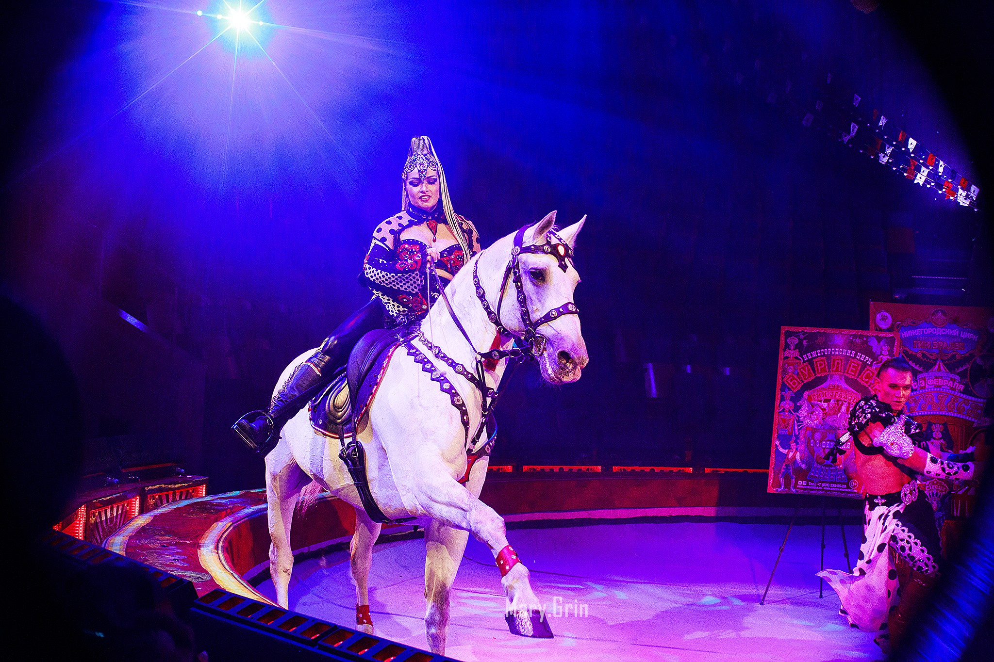 Цирк Гии Эрадзе. Детский и семейный фотограф, фотограф мероприятий Нижний Новгород