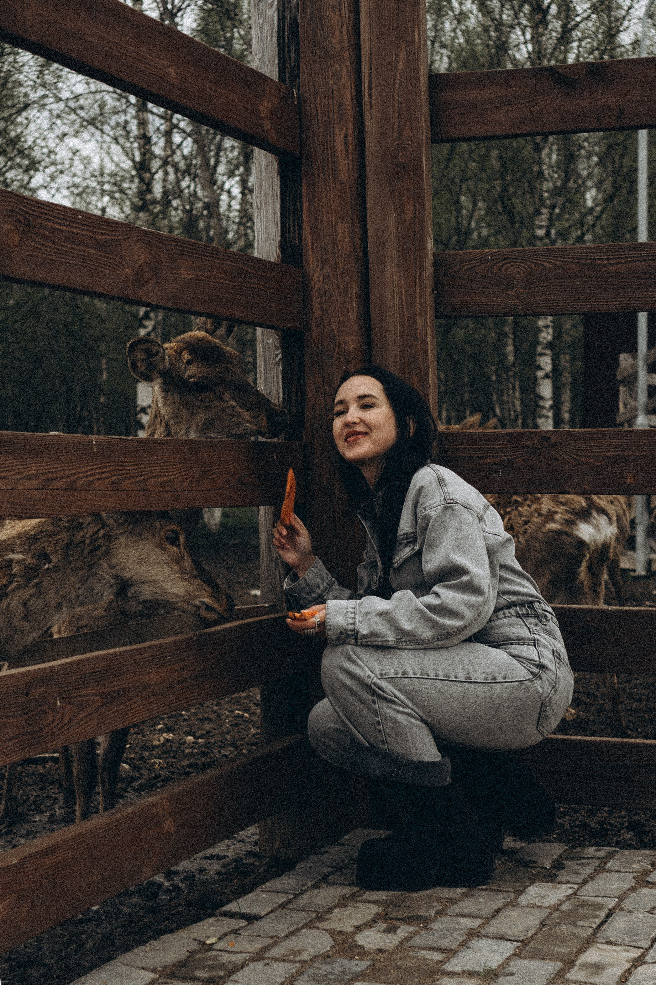ОЛЕНЬЯ ФЕРМА В ТВЕРИ. Профессиональный фотограф, Санкт-Петербург — Виктория Богомолова